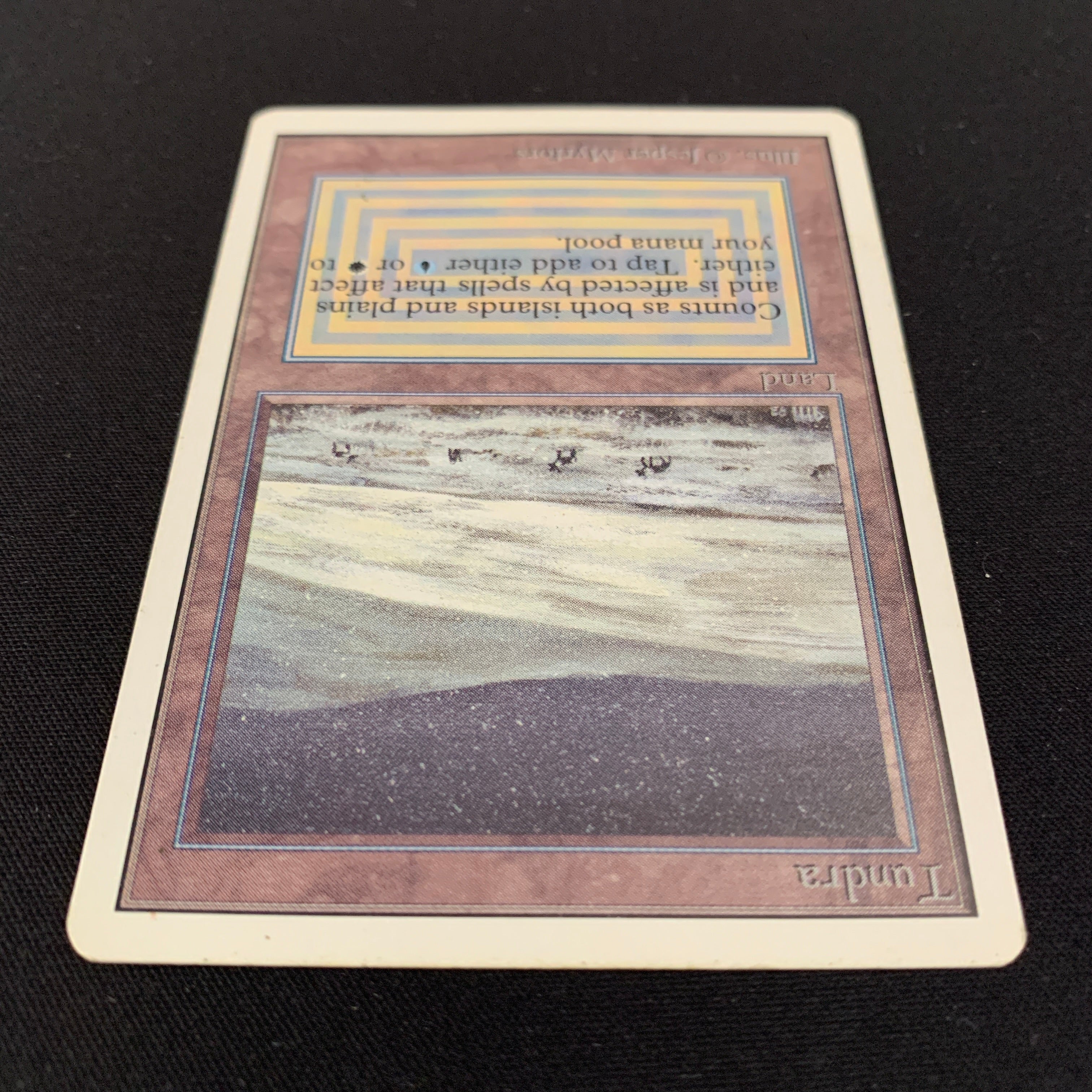 MTG Singles - Tundra - Unlimited -