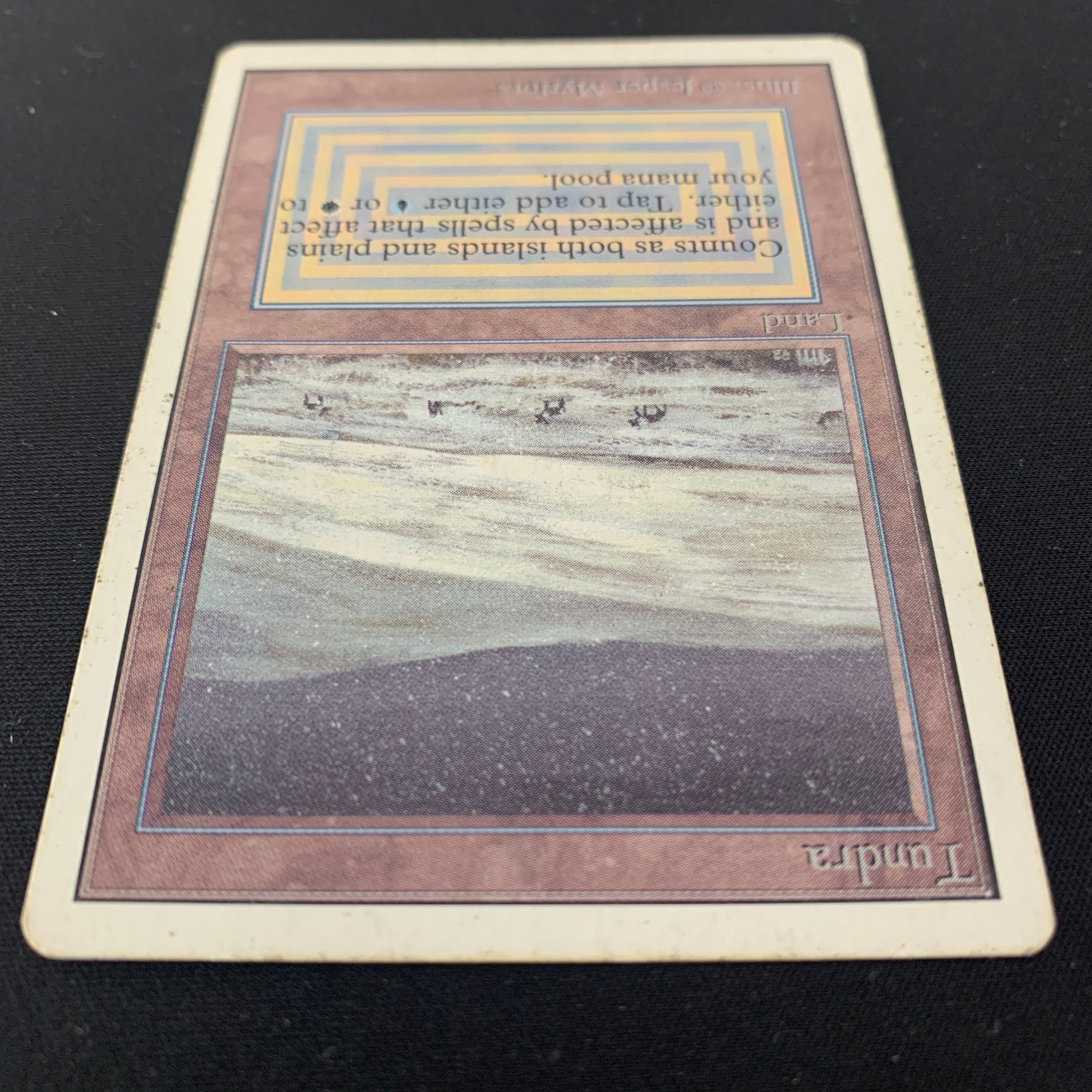 MTG Singles - Tundra - Unlimited -