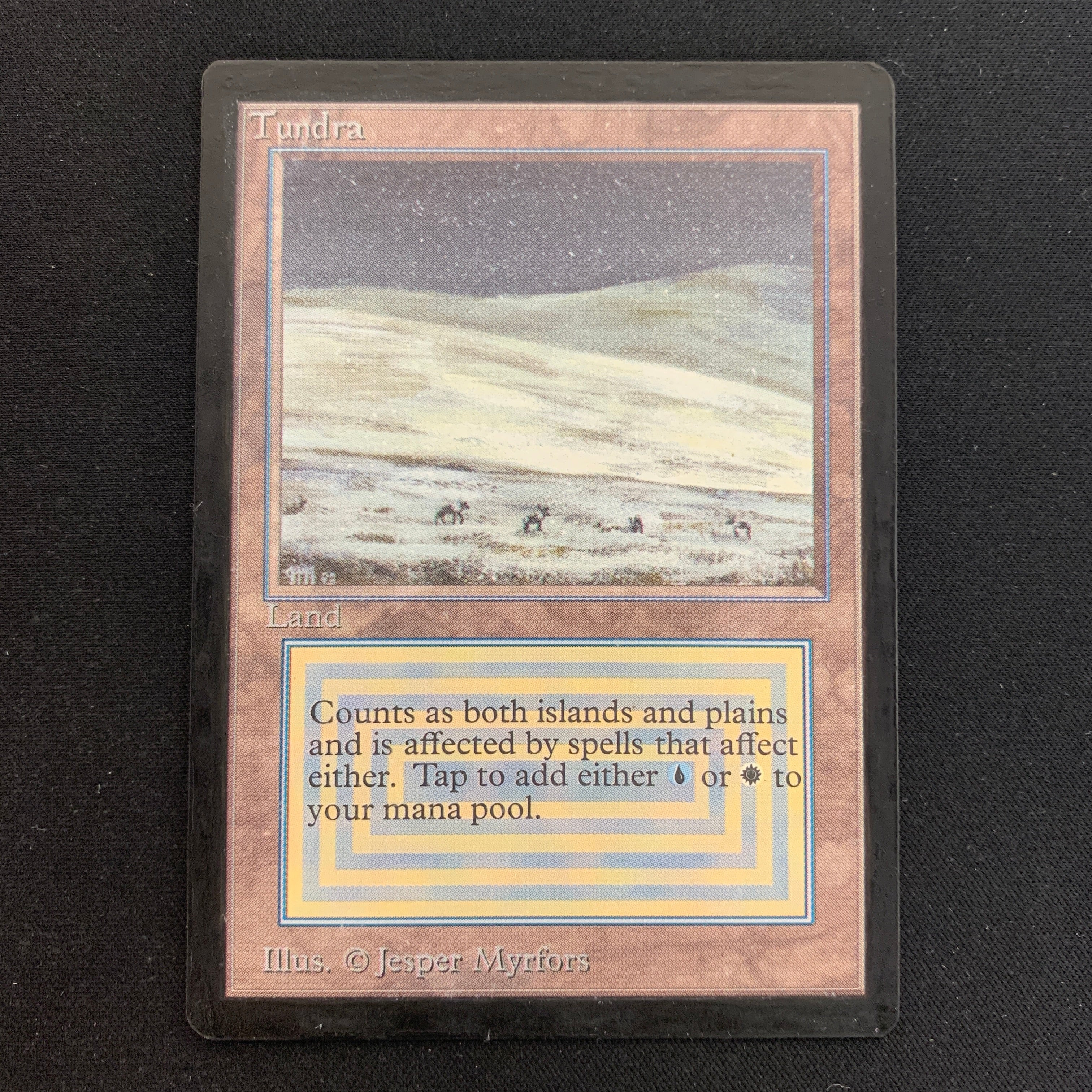 MTG Singles - Tundra - Unlimited -