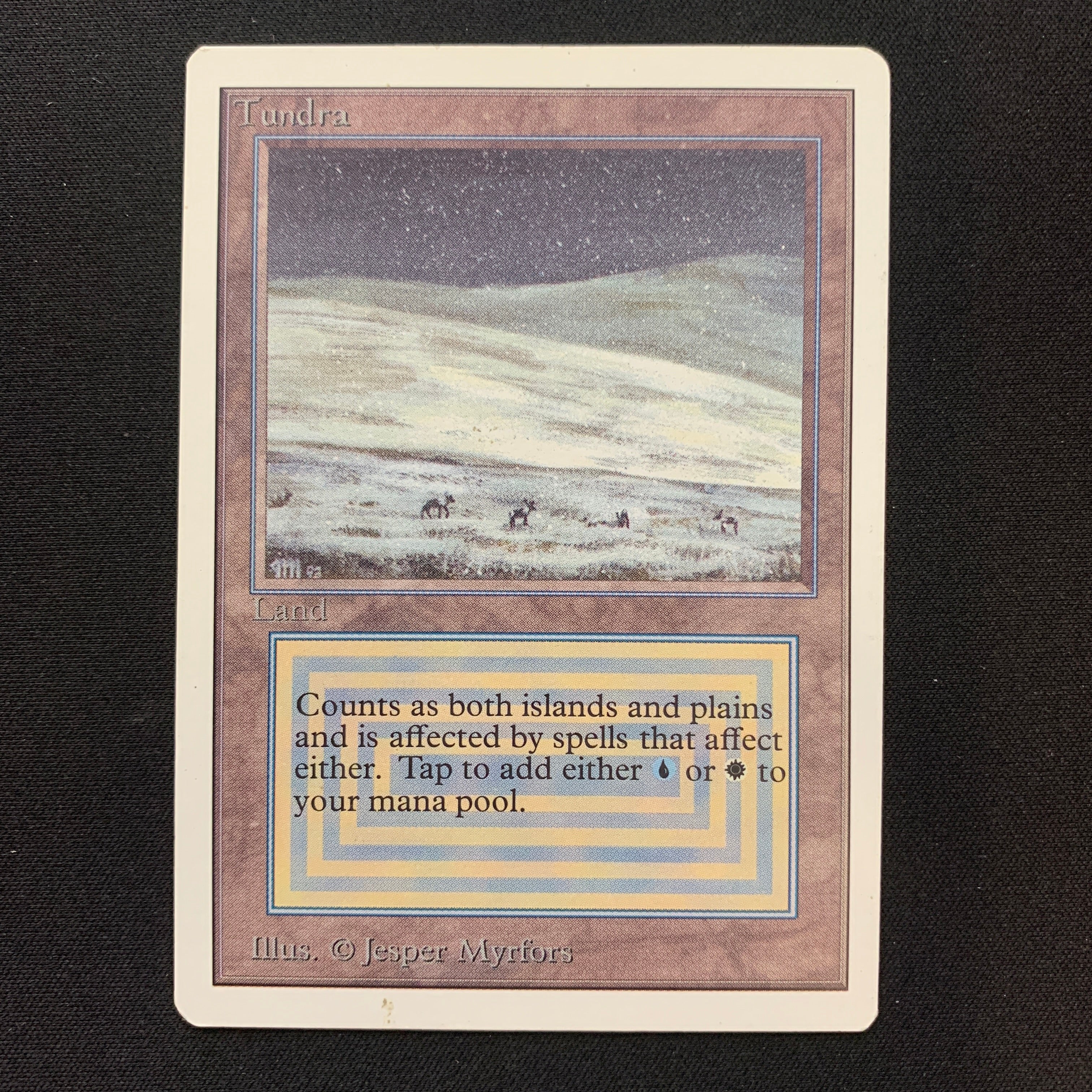 MTG Singles - Tundra - Unlimited -