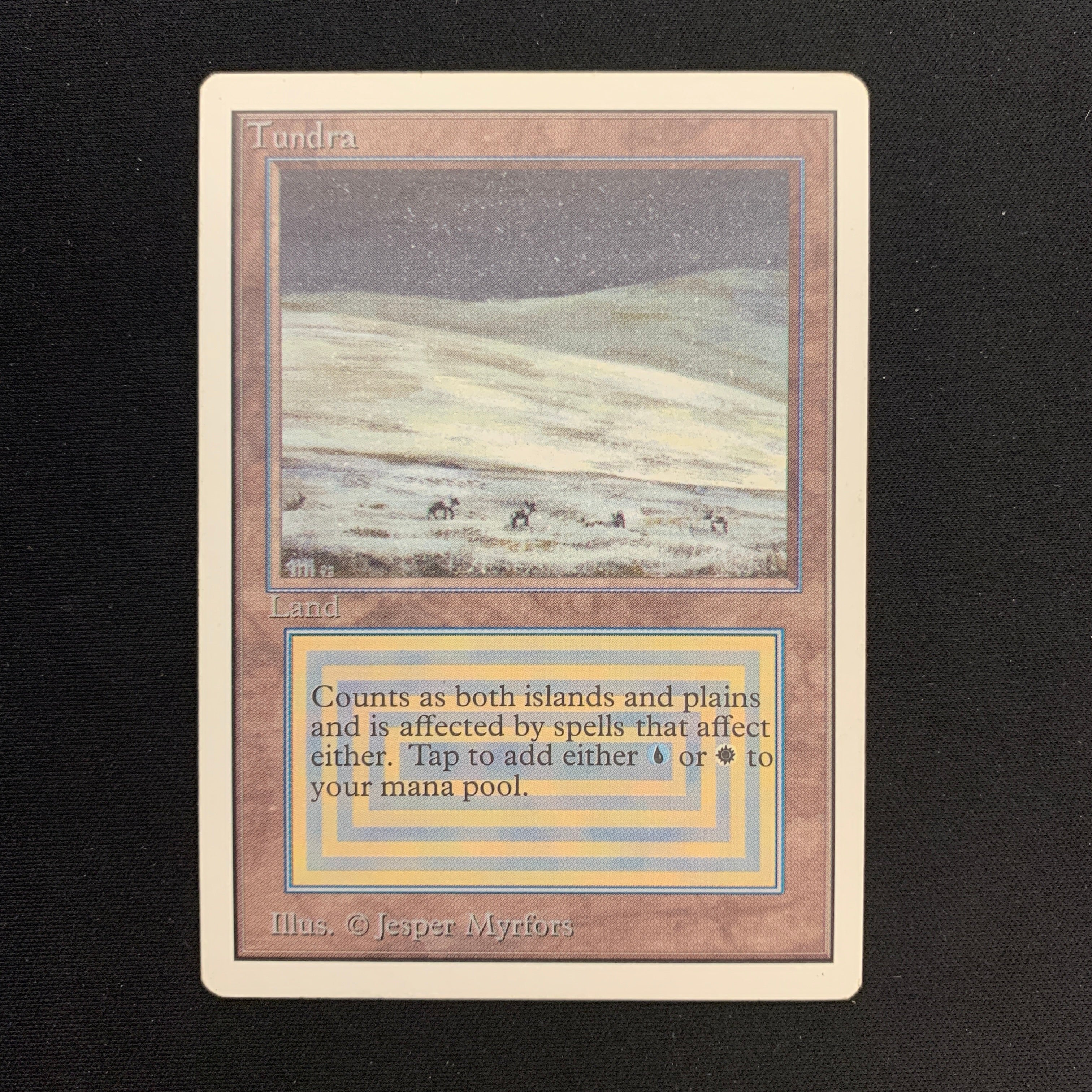 MTG Singles - Tundra - Unlimited -