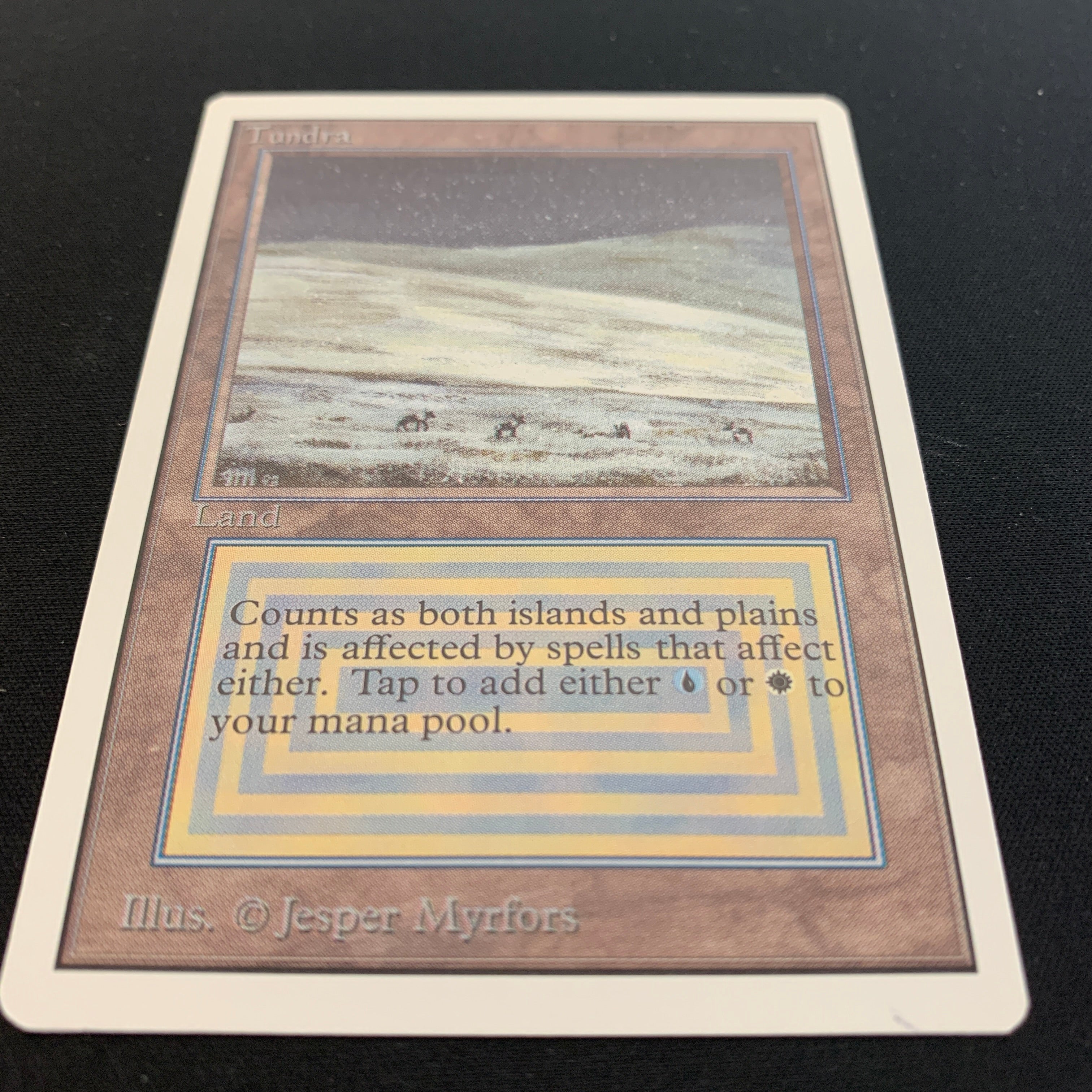MTG Singles - Tundra - Unlimited -