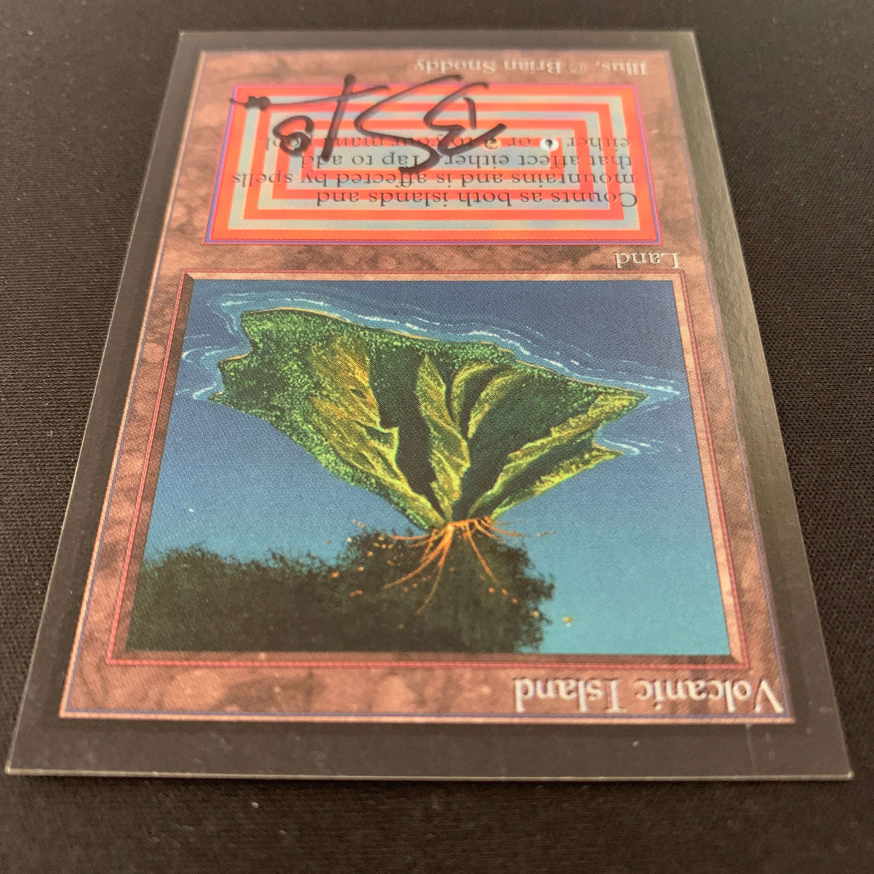 MTG Singles - Volcanic Island - International Edition -