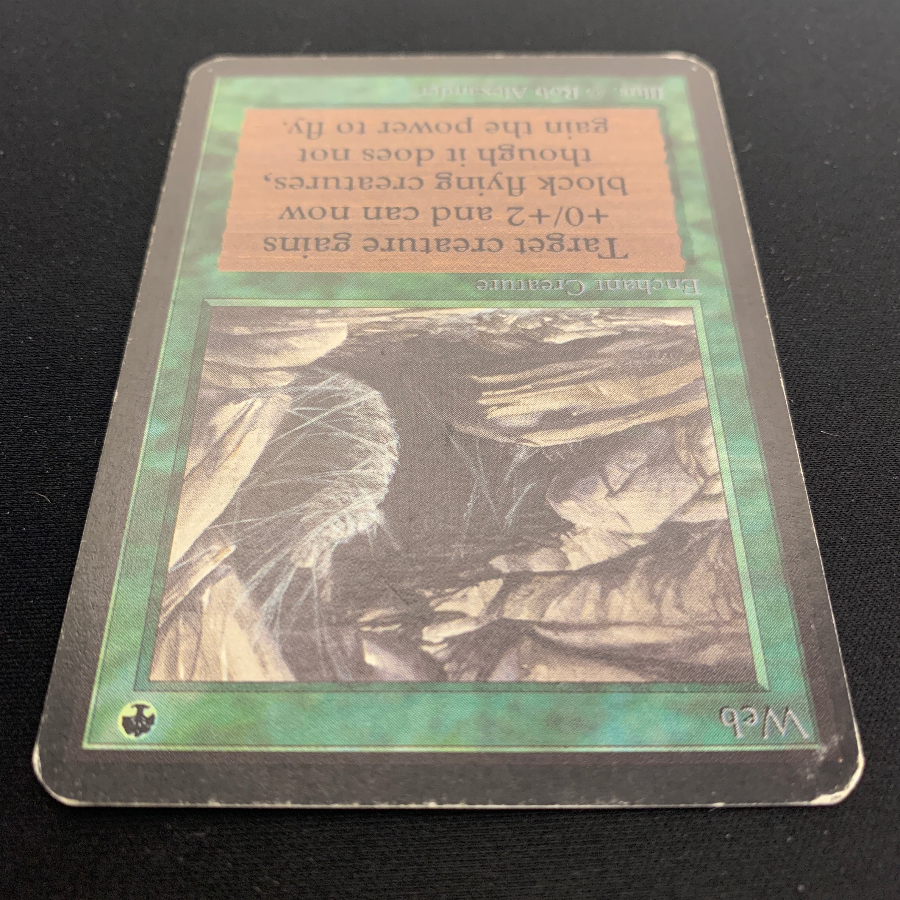 MTG Singles - Web - Alpha -