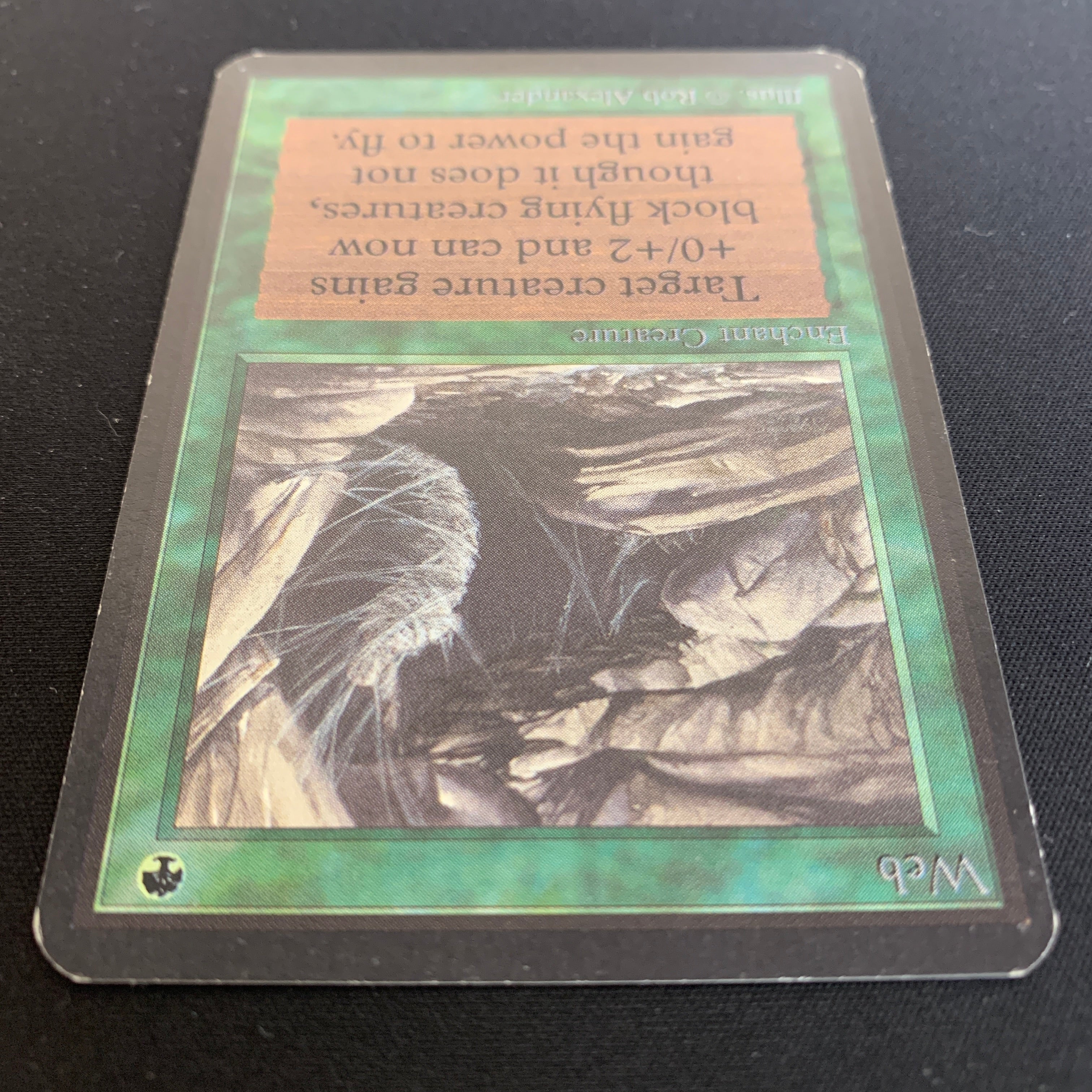 MTG Singles - Web - Alpha -