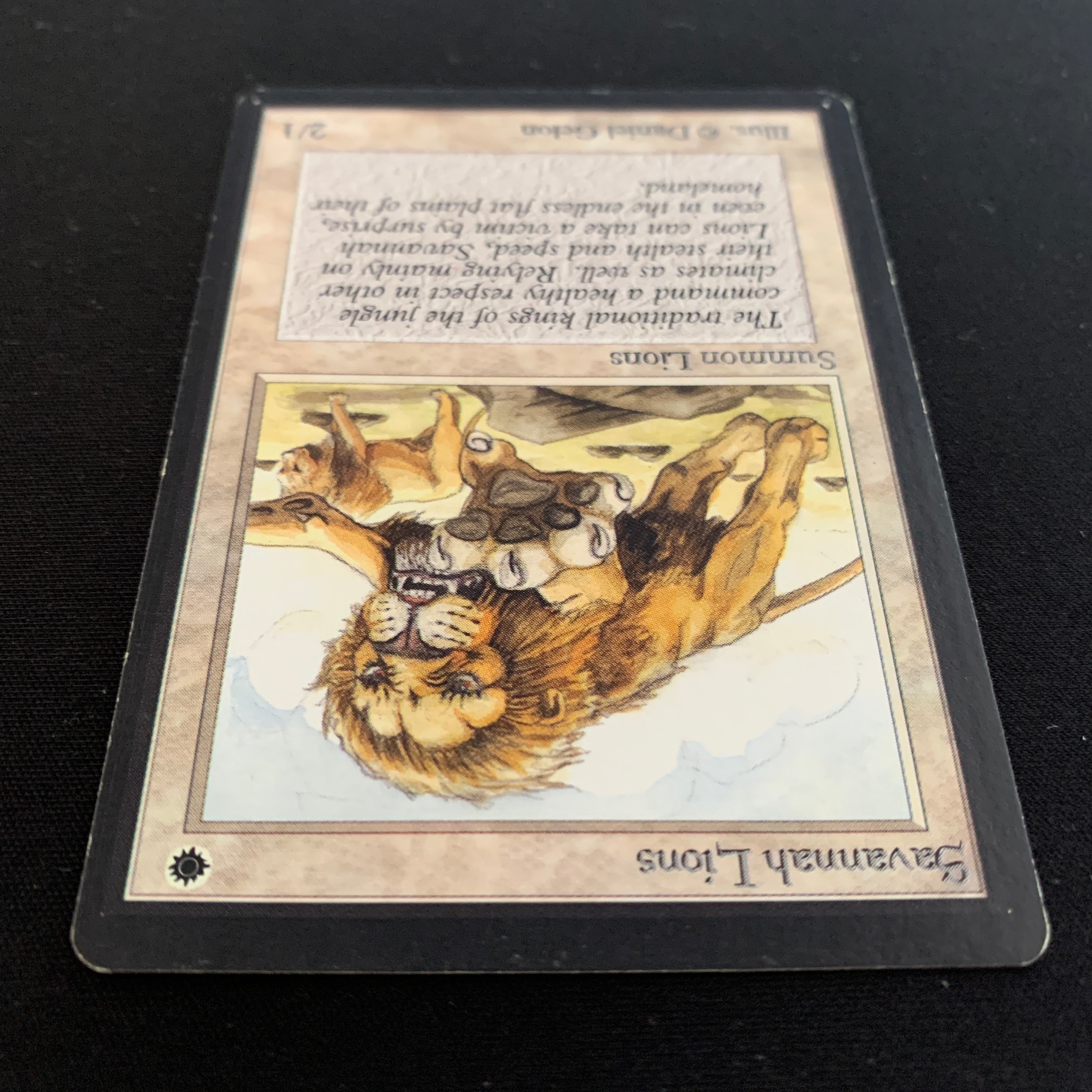 MTG Singles - Savannah Lions - Beta -