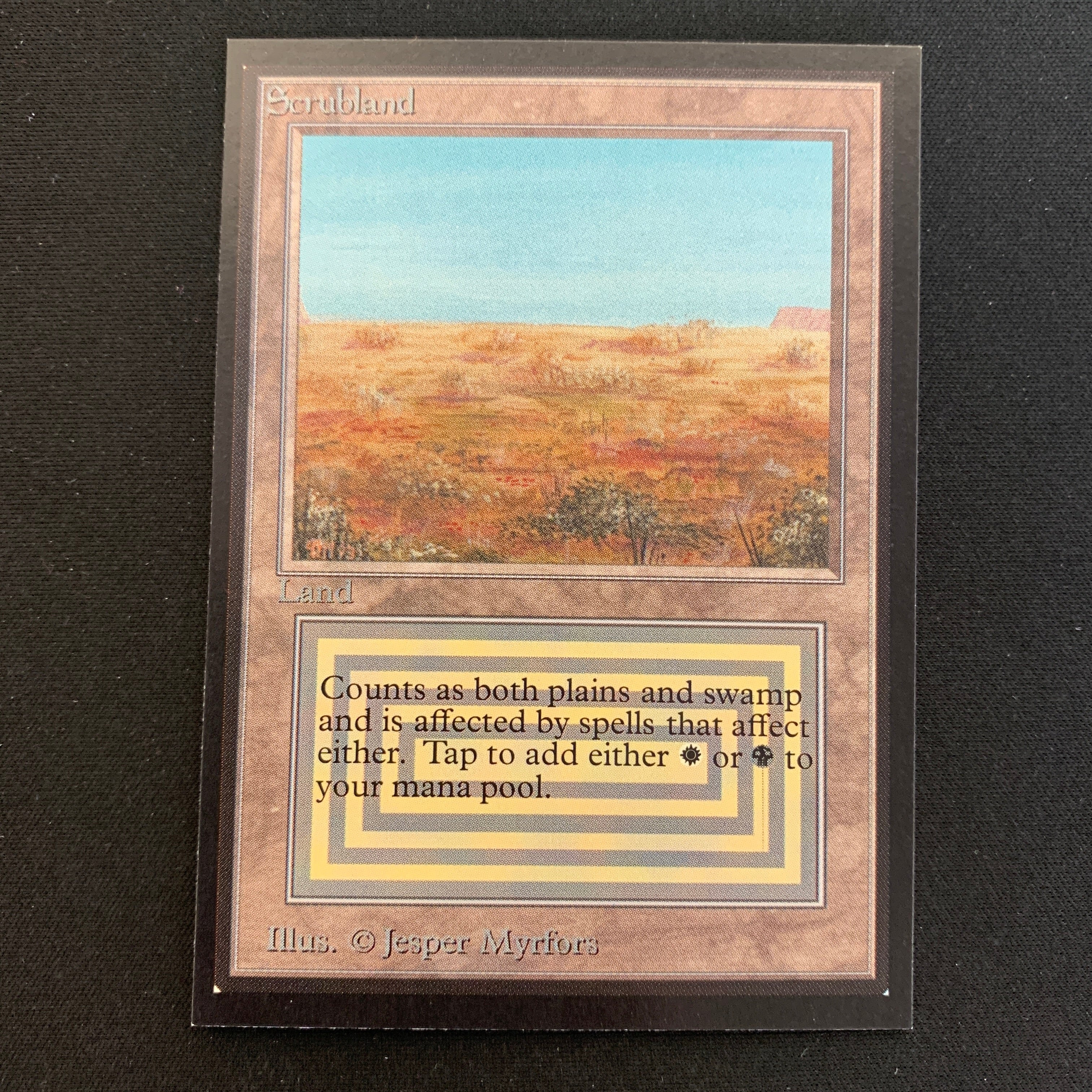 MTG Singles - Scrubland - International Edition -