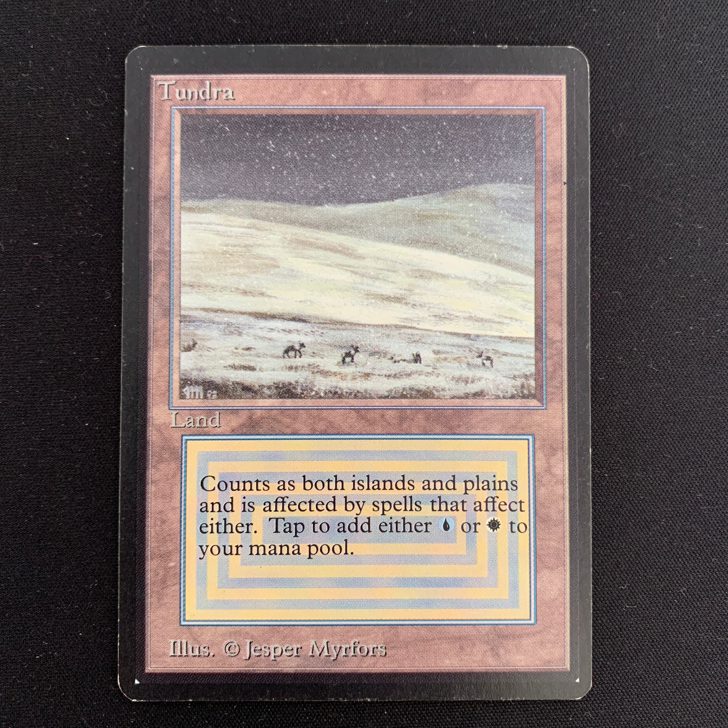 MTG Singles - Tundra - Beta -