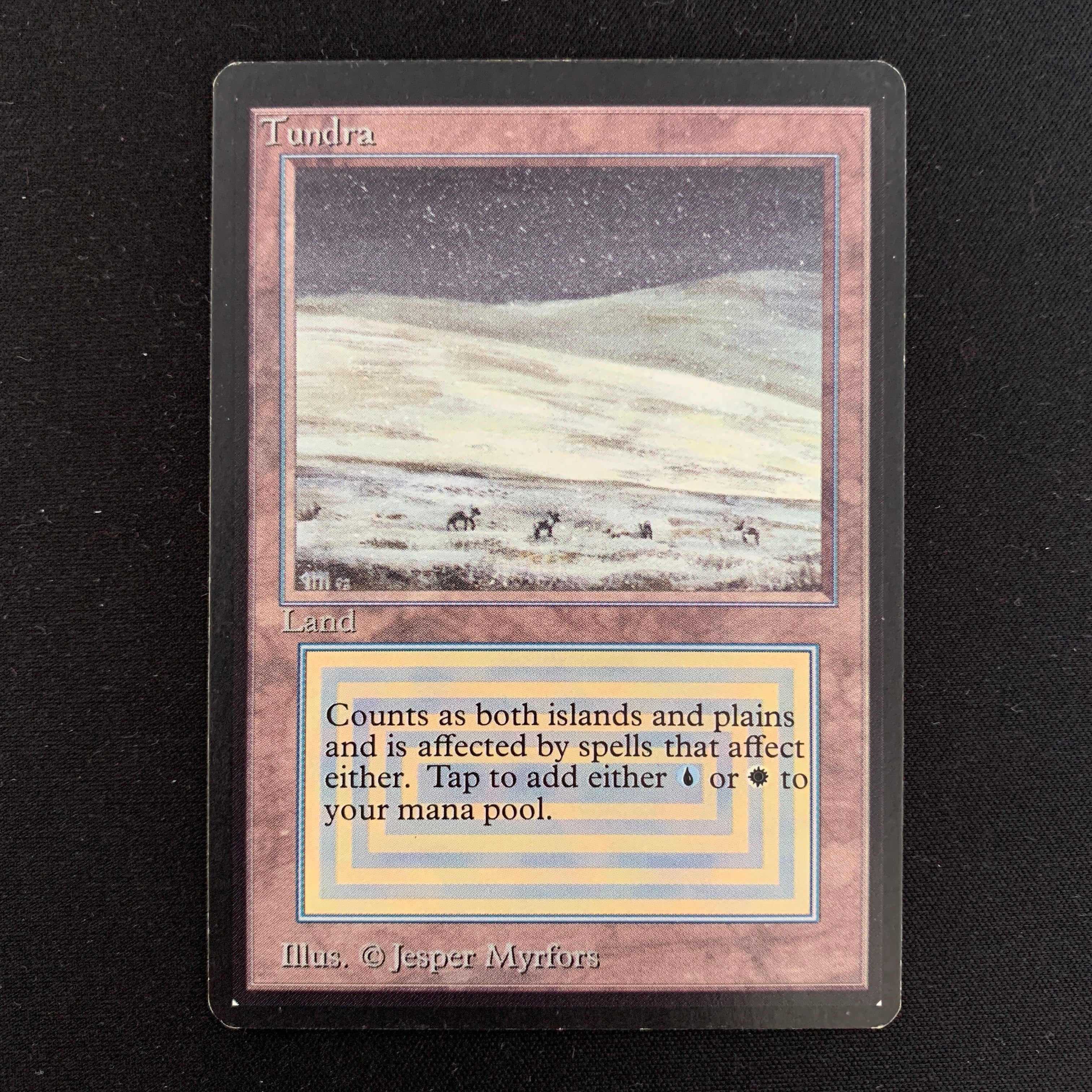 MTG Singles - Tundra - Beta -