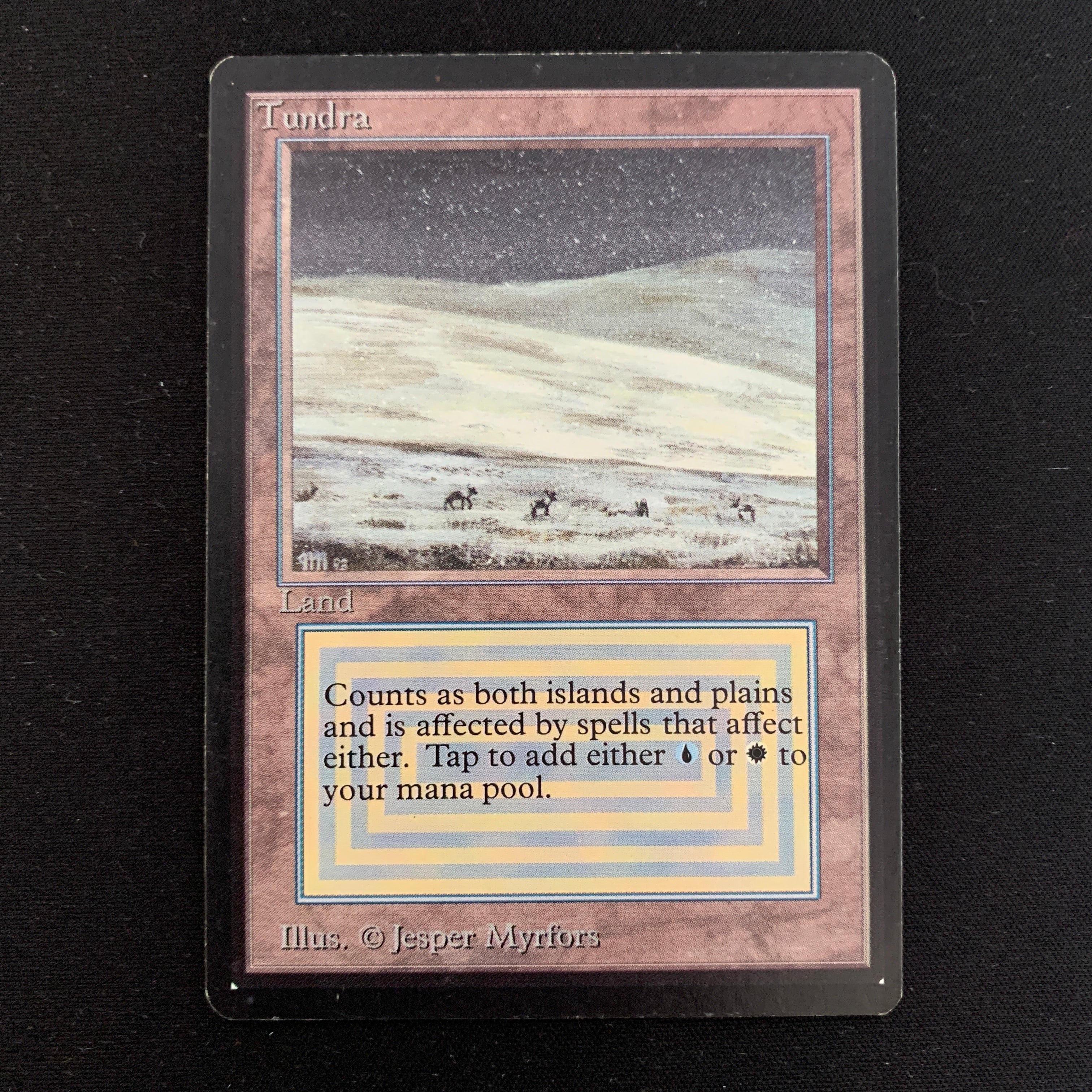 MTG Singles - Tundra - Beta -