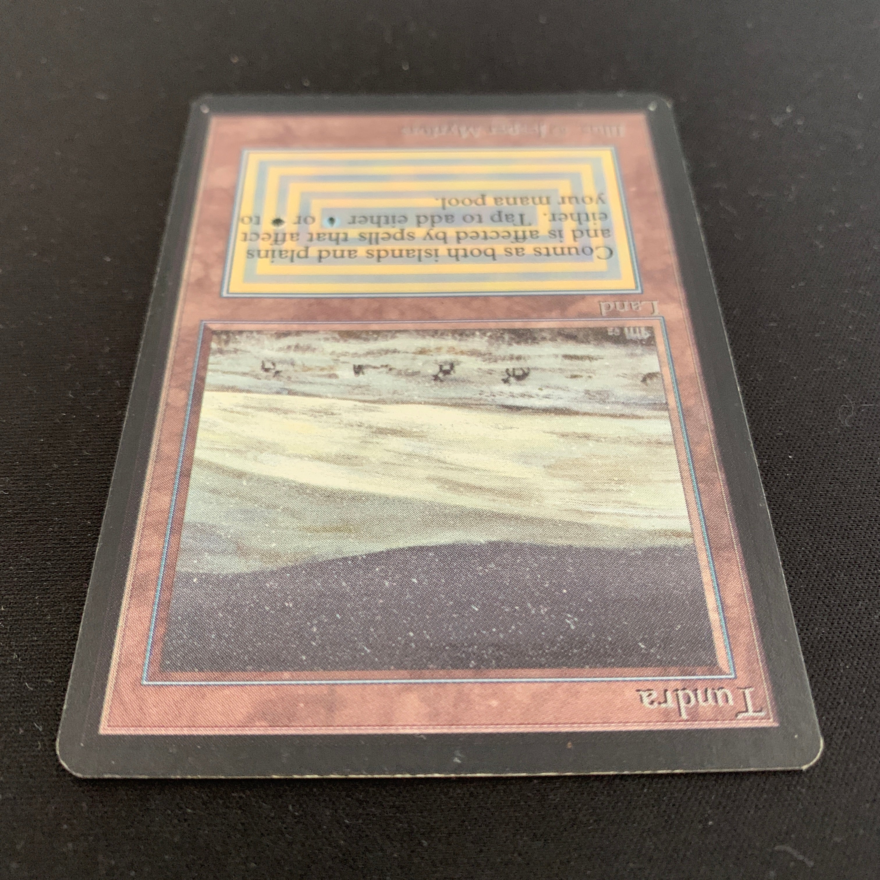 MTG Singles - Tundra - Beta -