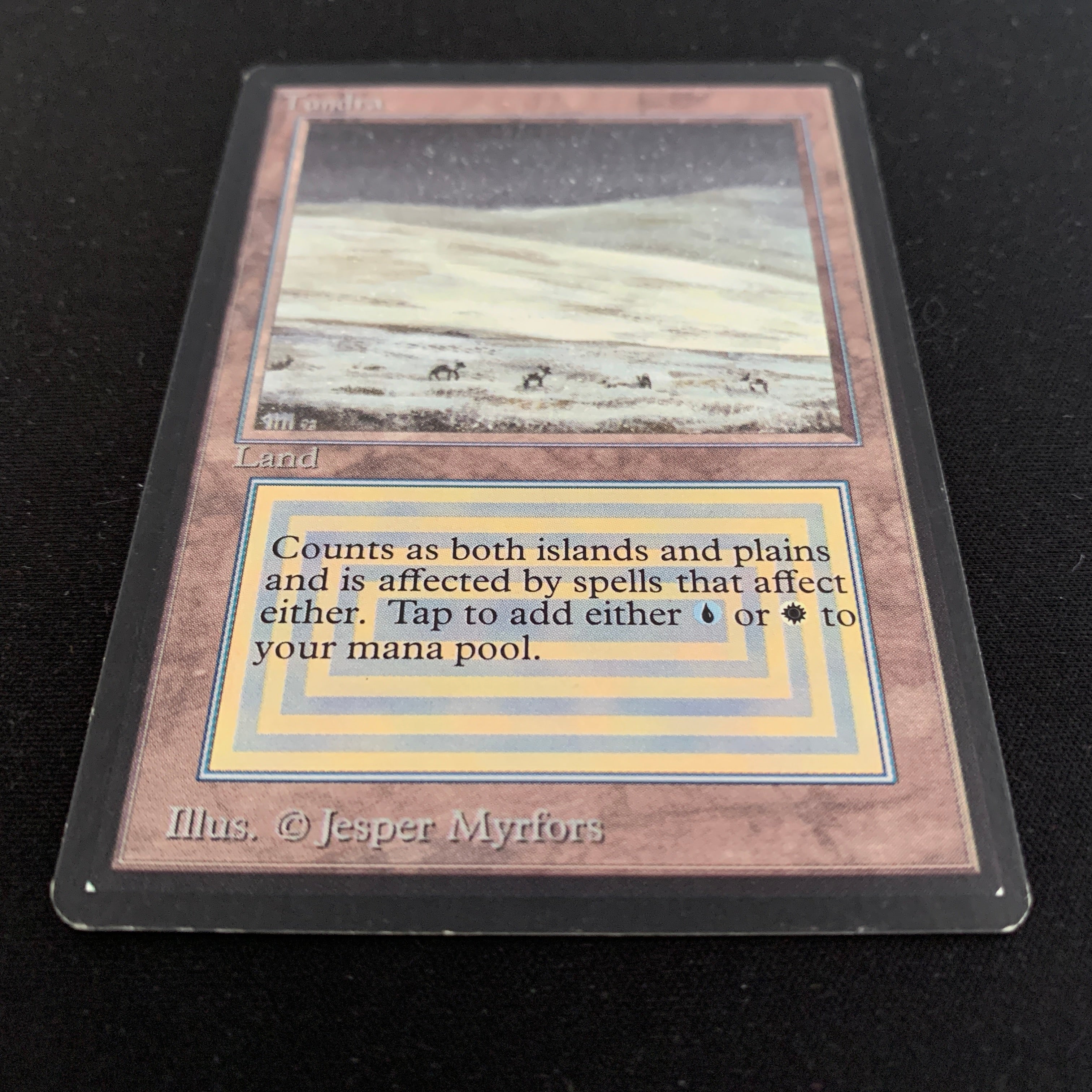 MTG Singles - Tundra - Beta -