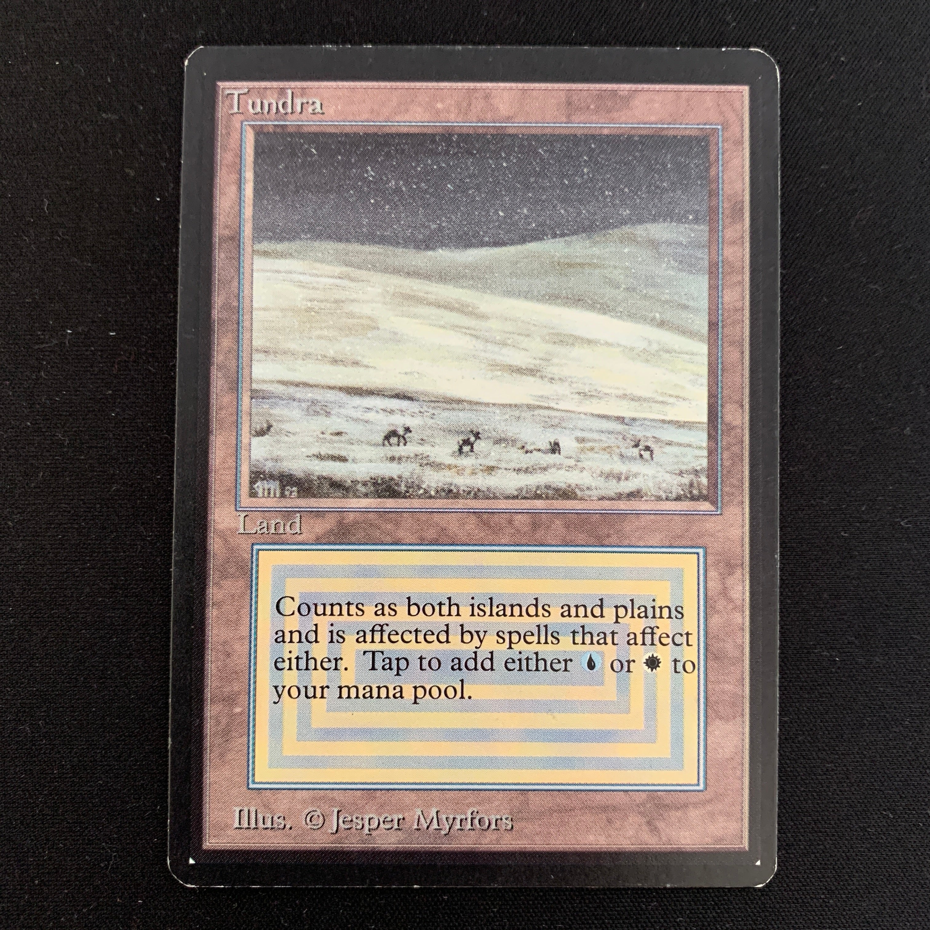 MTG Singles - Tundra - Beta -