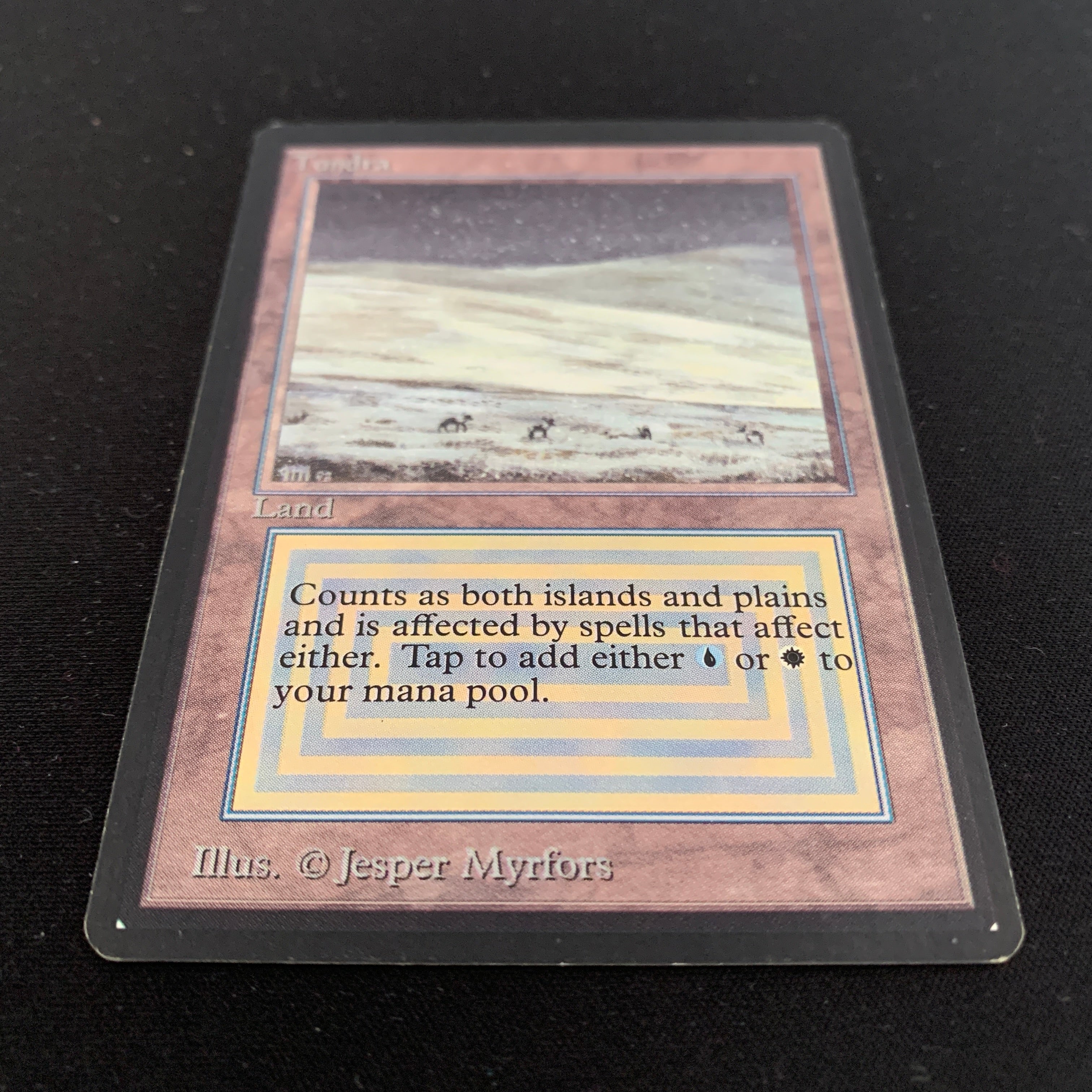 MTG Singles - Tundra - Beta -