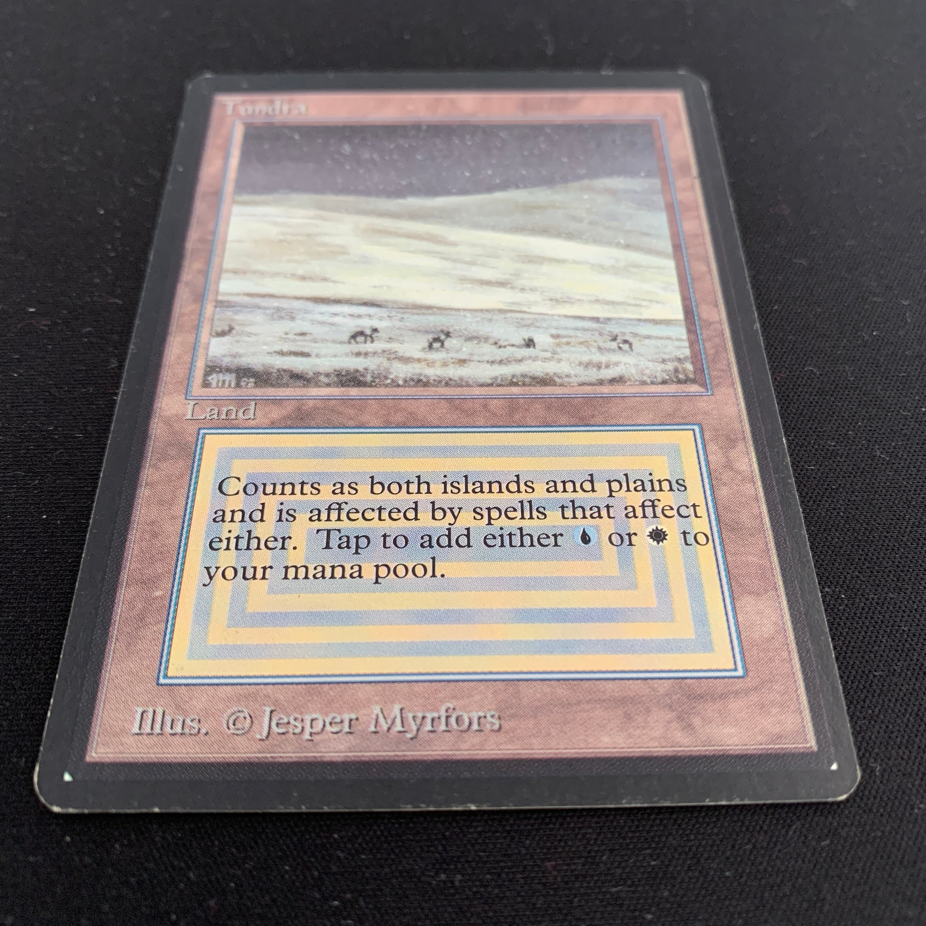 MTG Singles - Tundra - Beta -