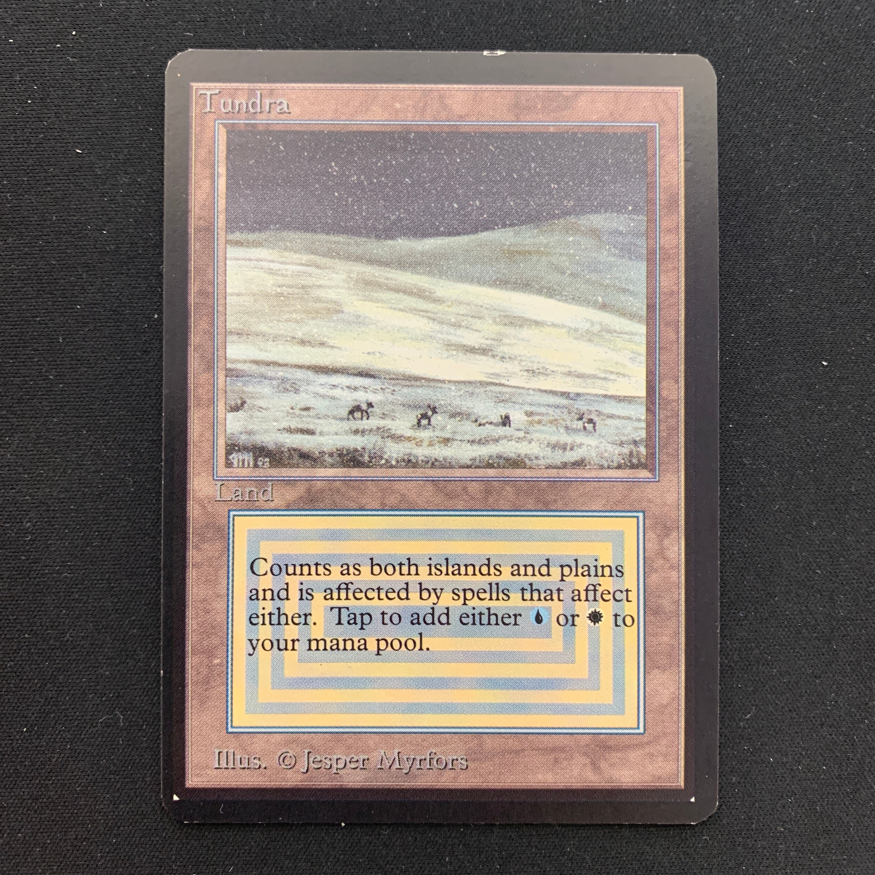 MTG Singles - Tundra - Collectors' Edition -