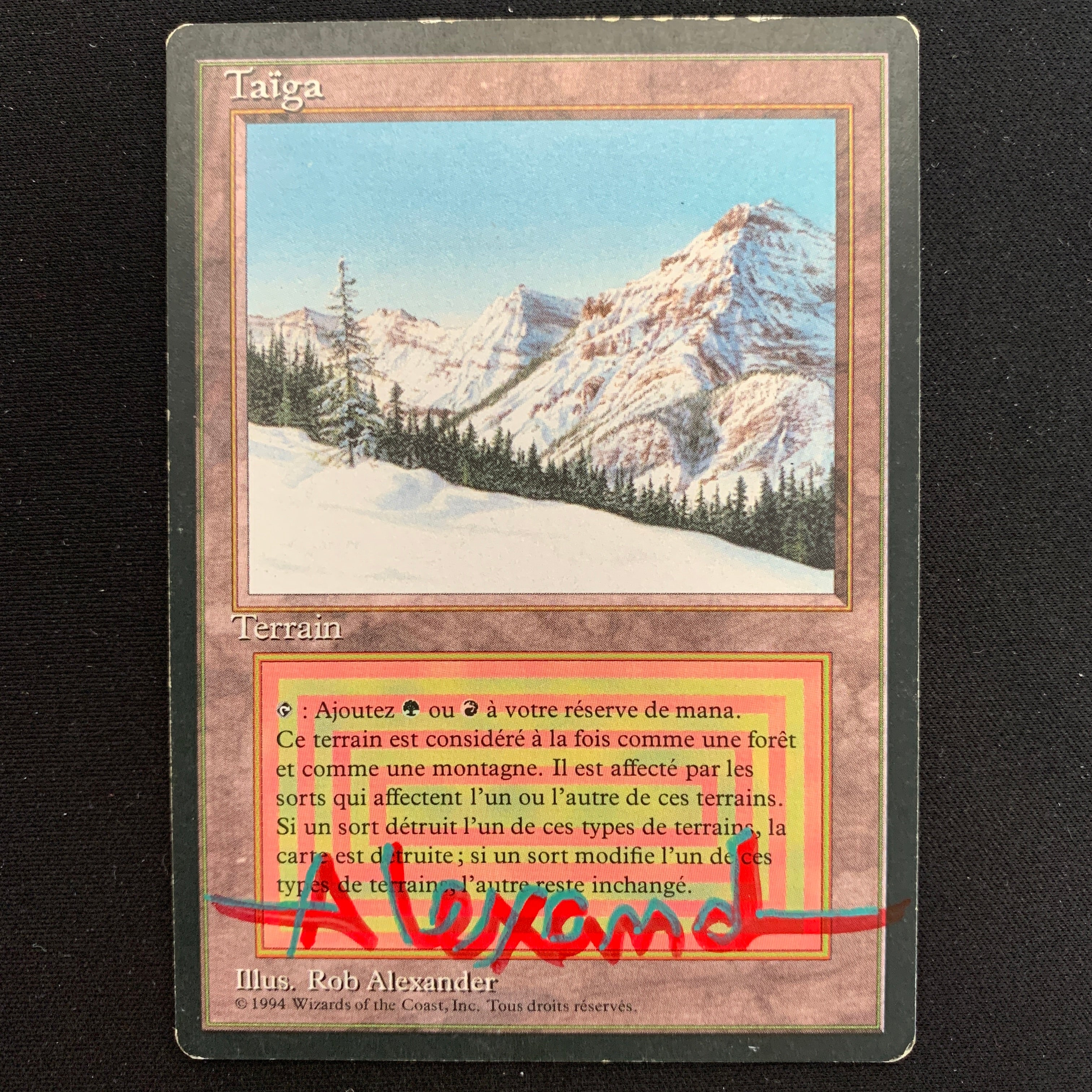 MTG Singles - Taiga - Foreign Black Bordered - French - LP - SIGNED - 18917