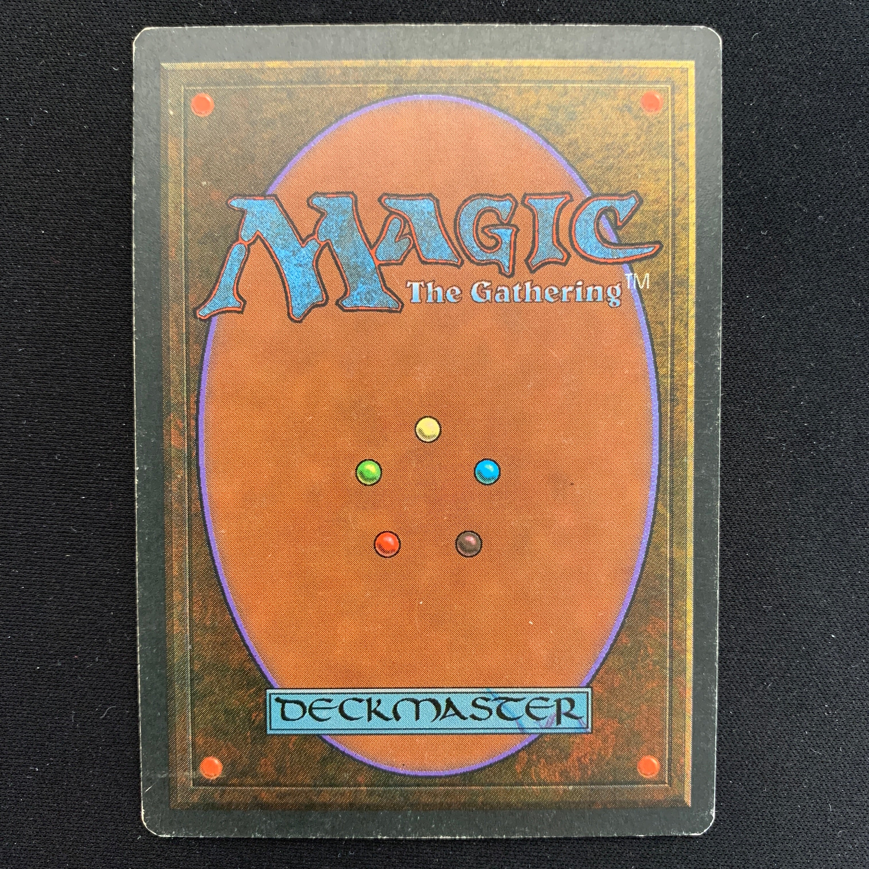 MTG Singles - Taiga - Foreign Black Bordered - 