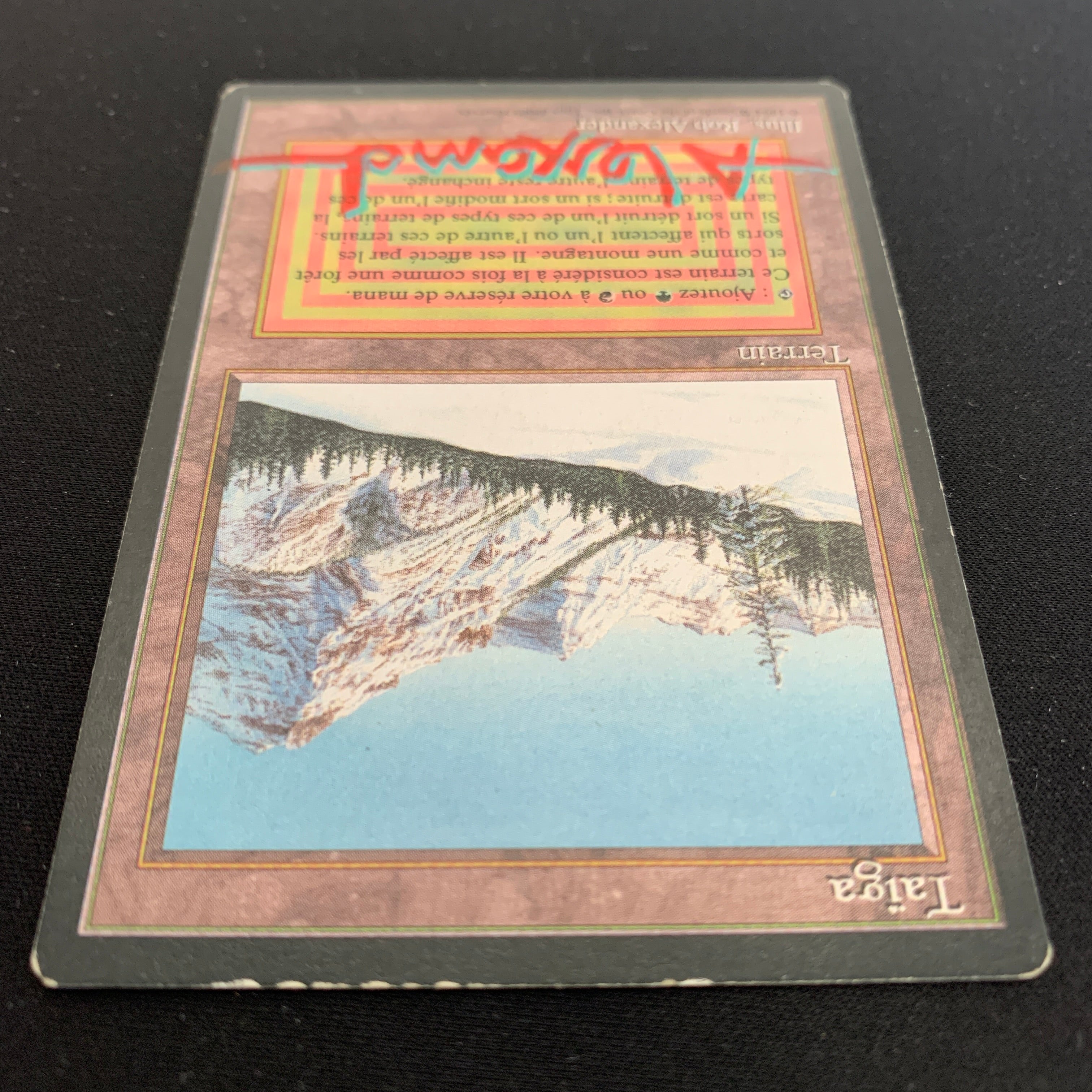 MTG Singles - Taiga - Foreign Black Bordered - 