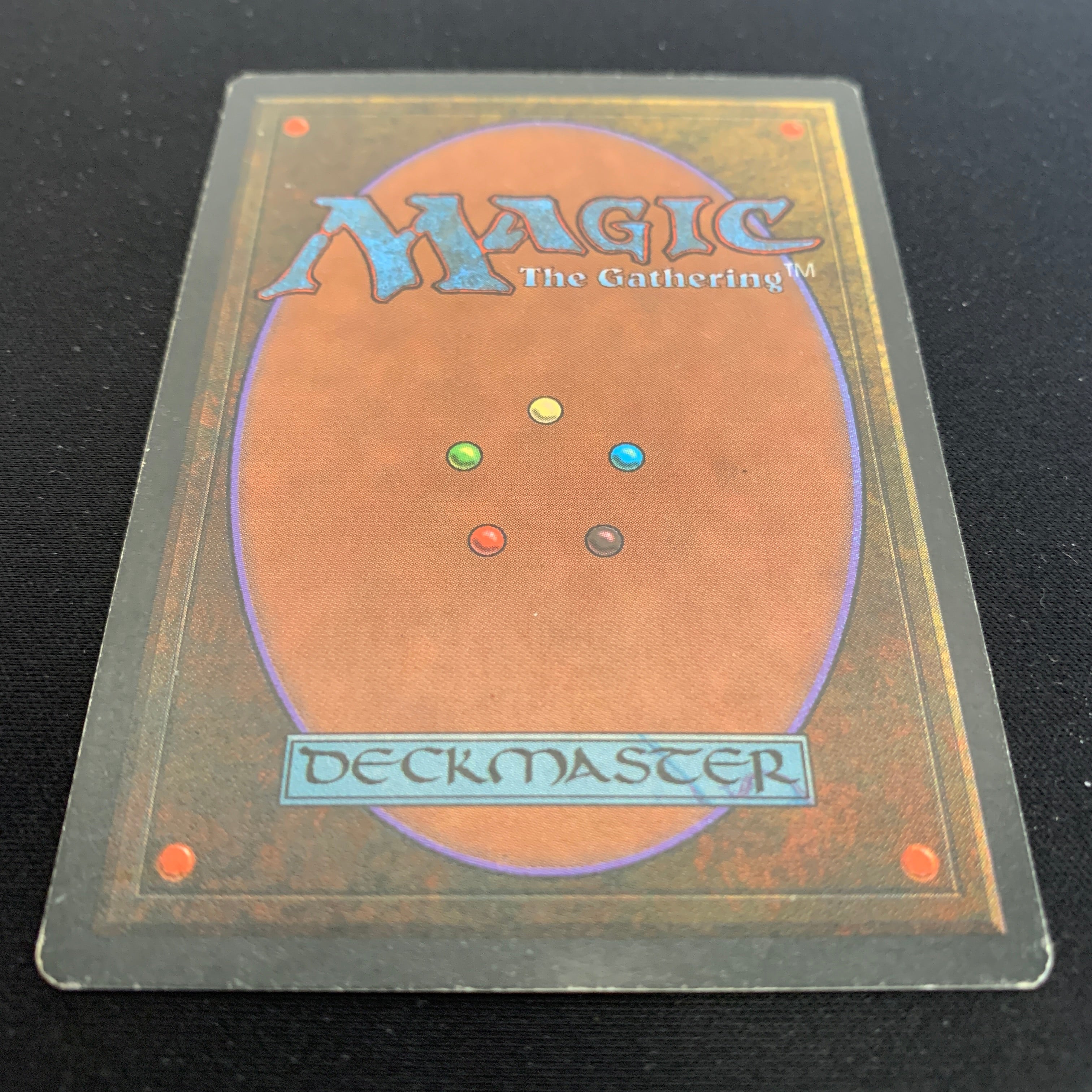 MTG Singles - Taiga - Foreign Black Bordered - 