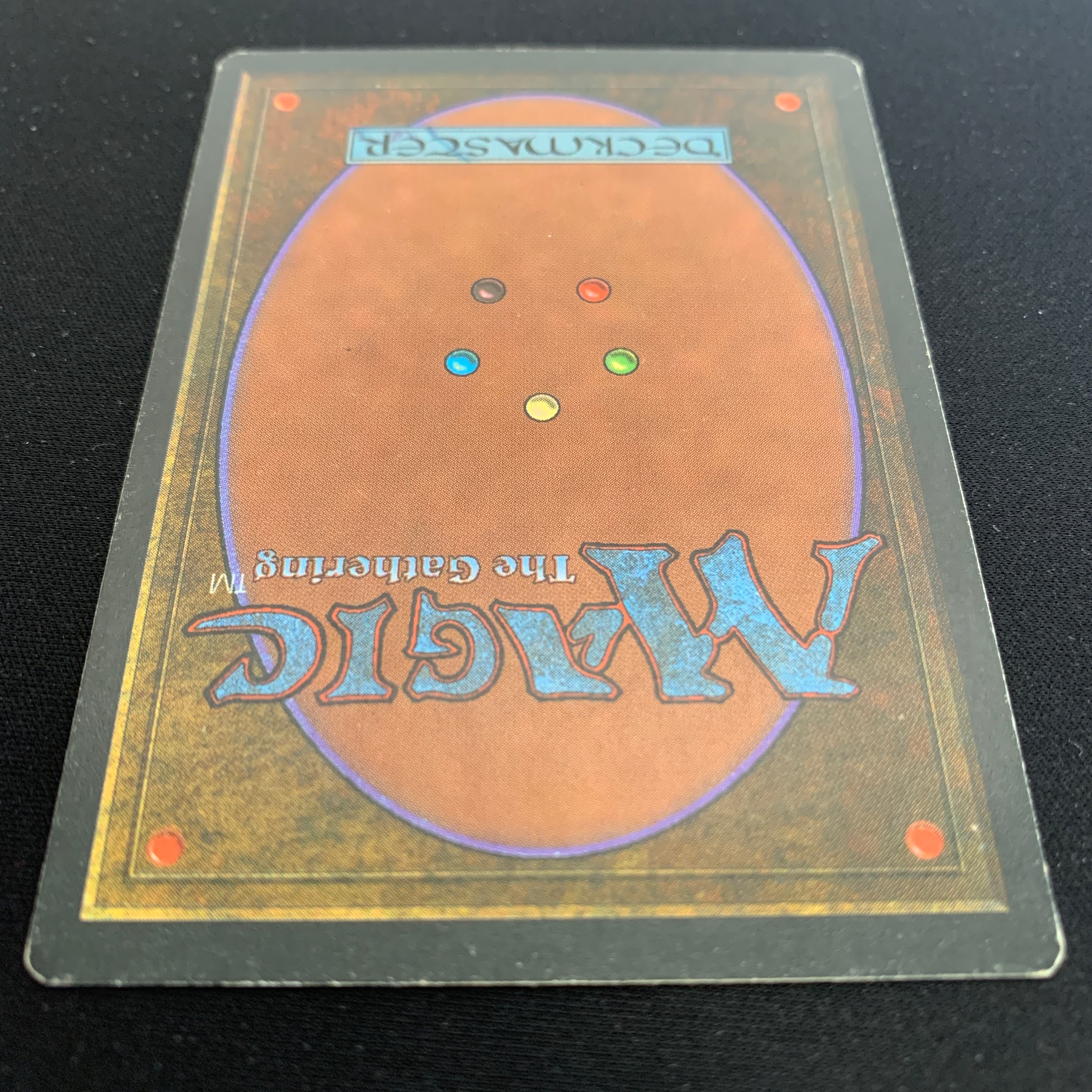 MTG Singles - Taiga - Foreign Black Bordered - 