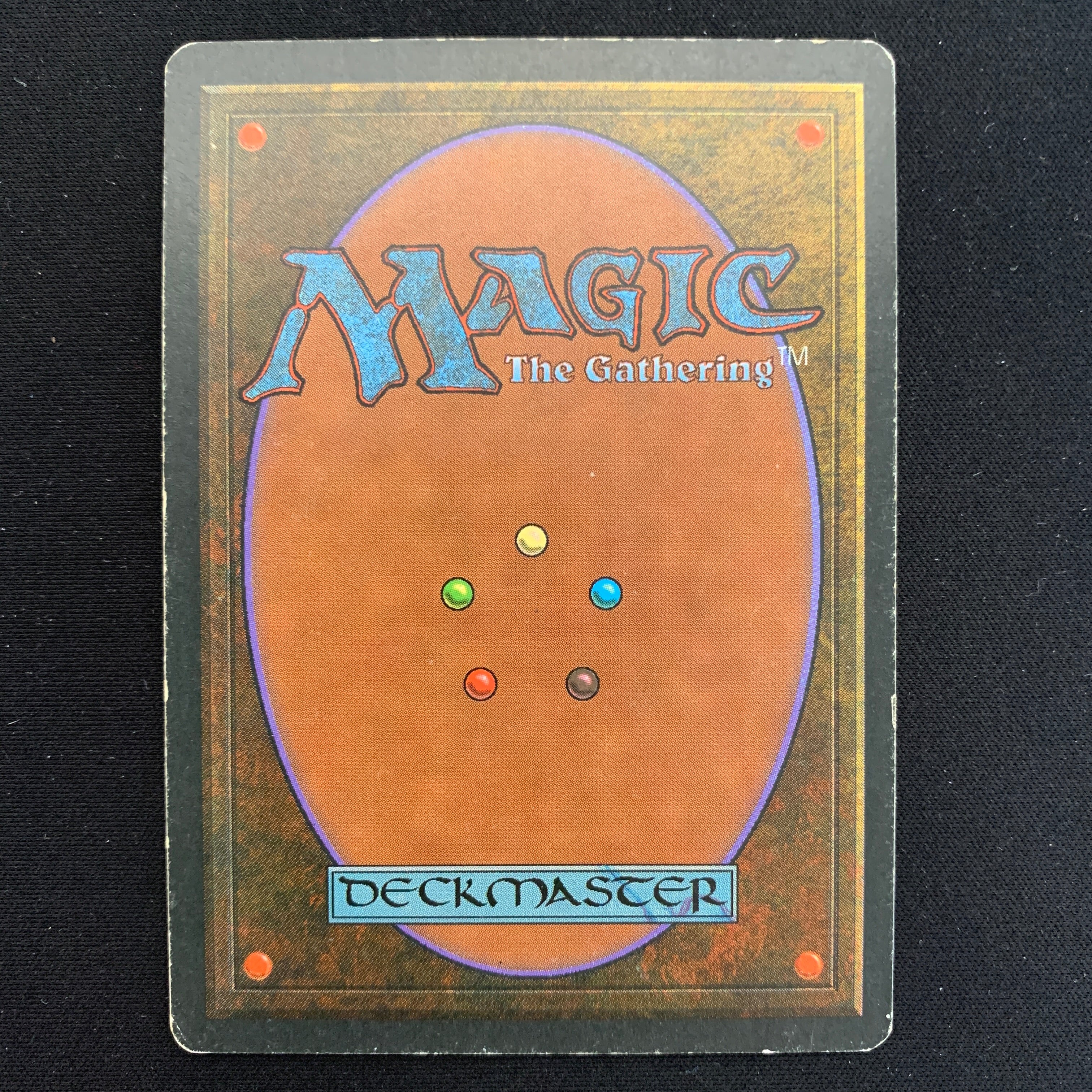 MTG Singles - Taiga - Foreign Black Bordered - 