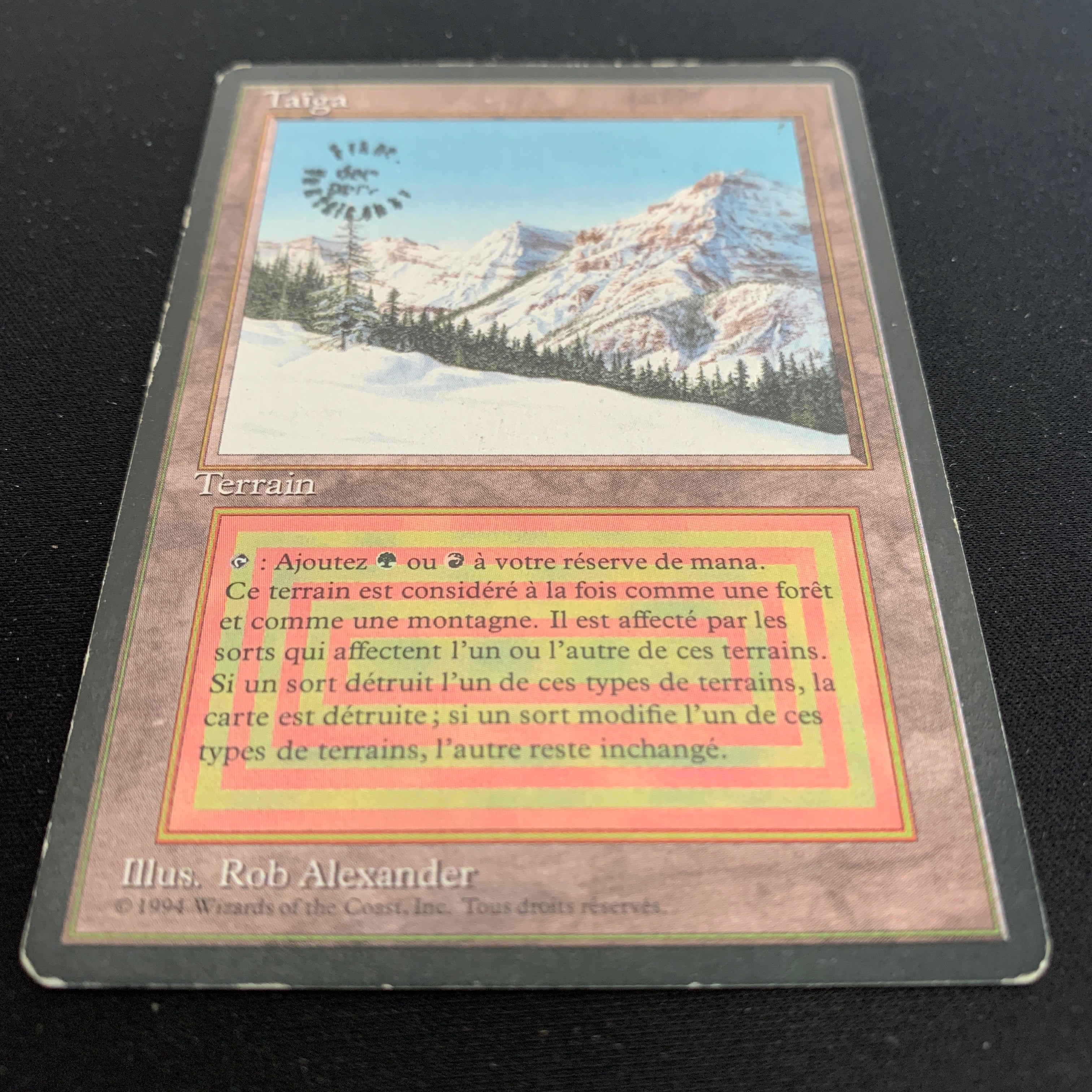 MTG Singles - Taiga - Foreign Black Bordered - 