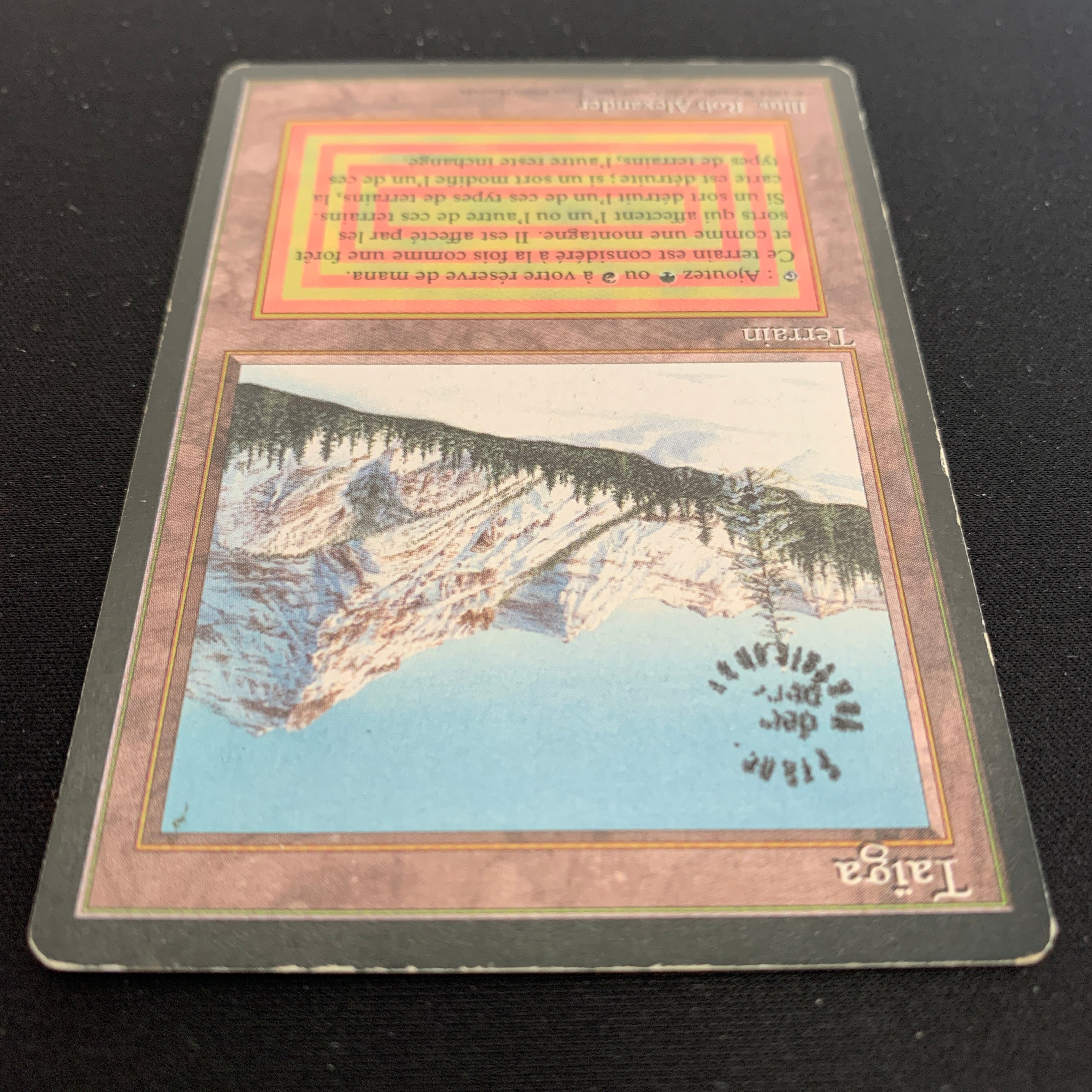 MTG Singles - Taiga - Foreign Black Bordered - 