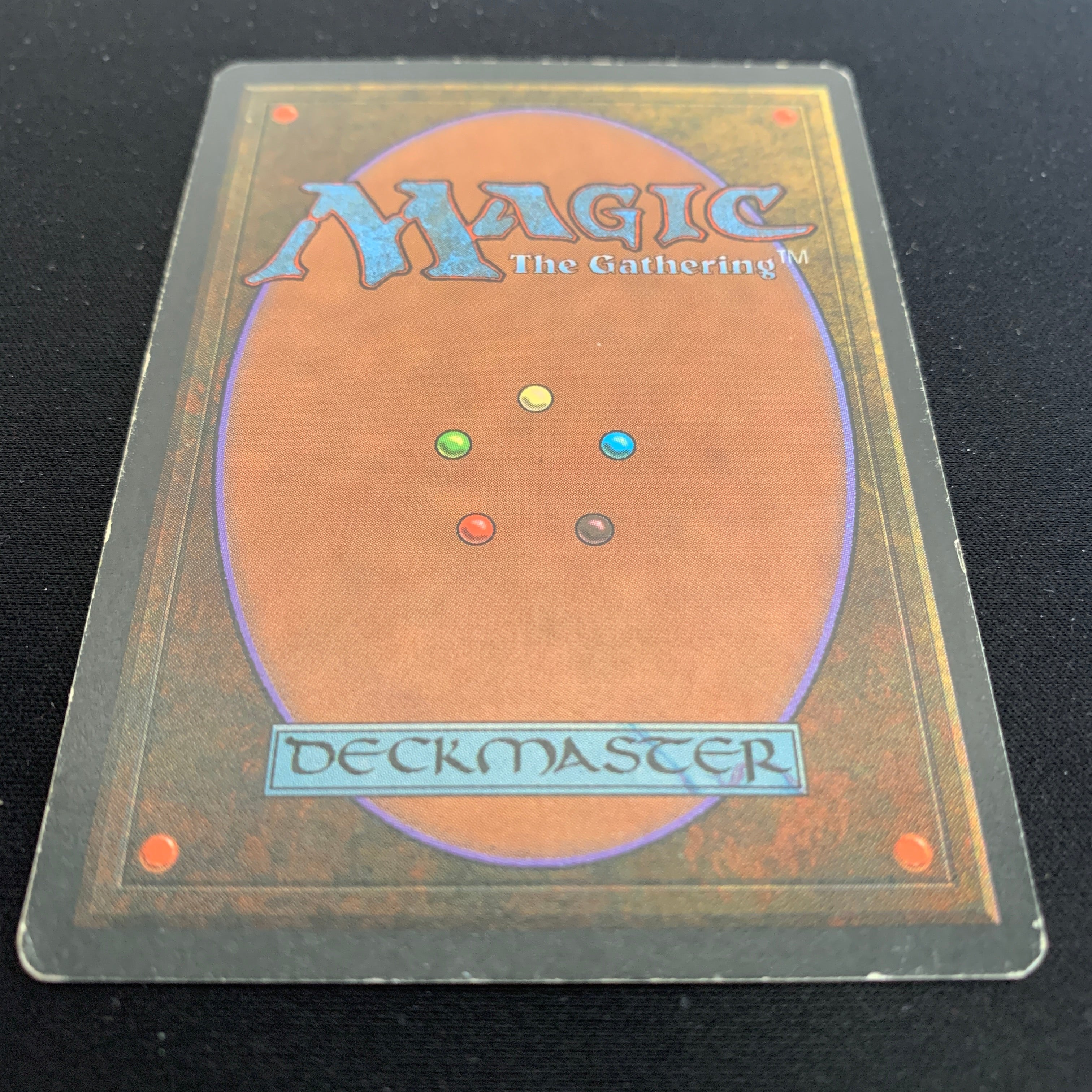 MTG Singles - Taiga - Foreign Black Bordered - 