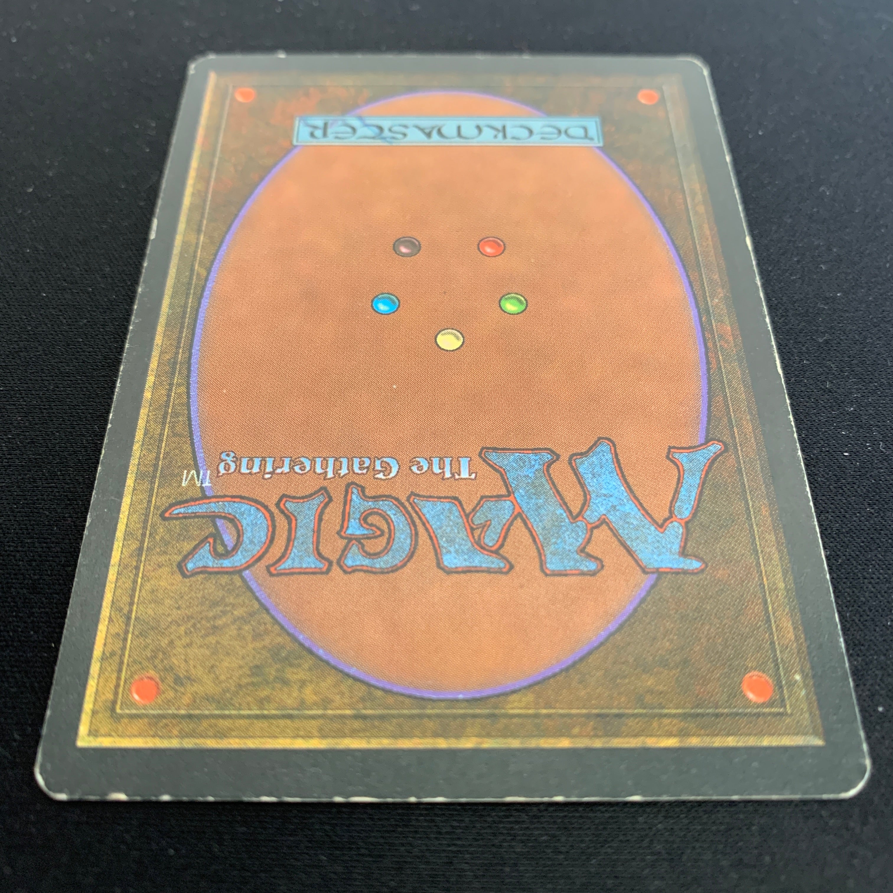 MTG Singles - Taiga - Foreign Black Bordered - 