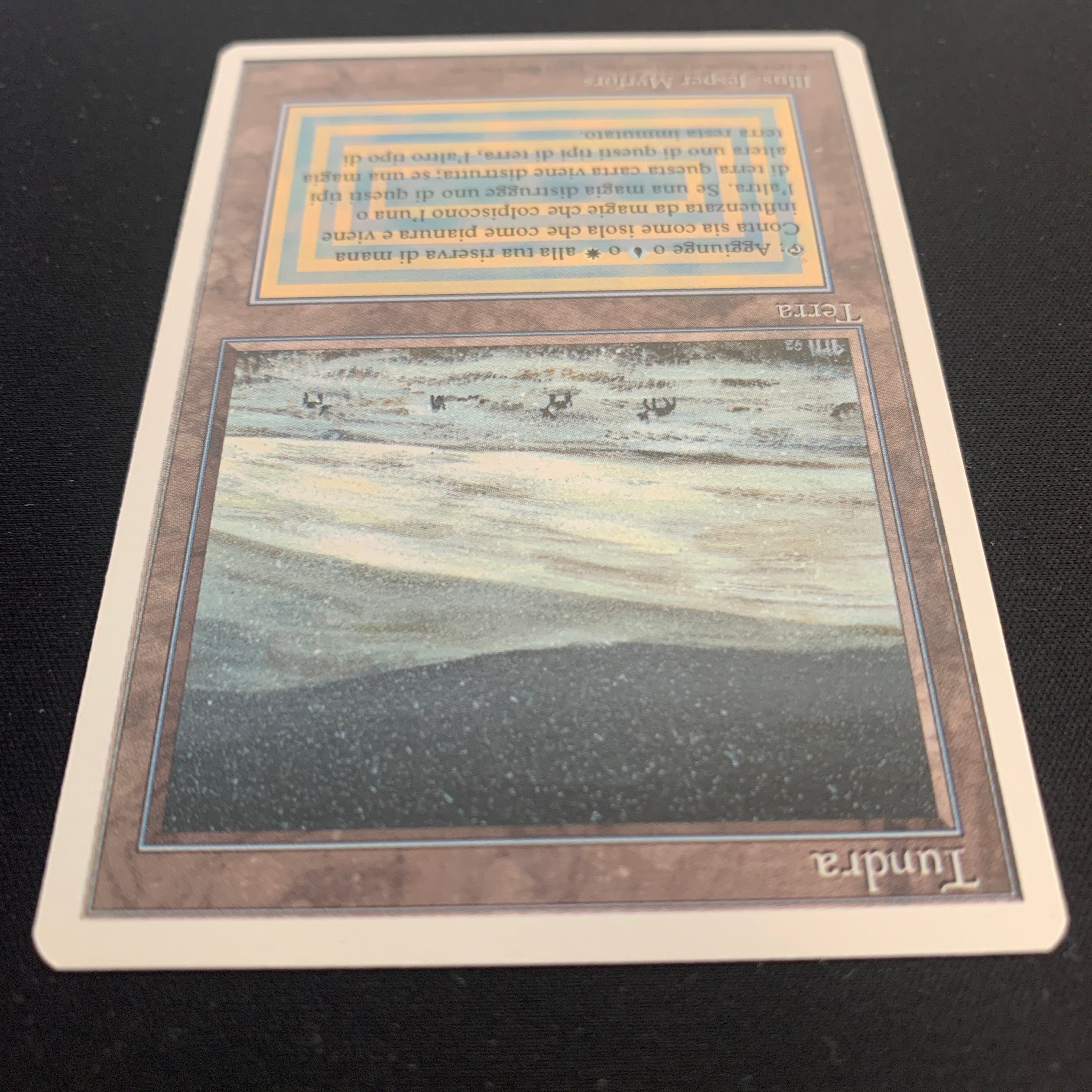 MTG Singles - Tundra - Foreign White Bordered - 