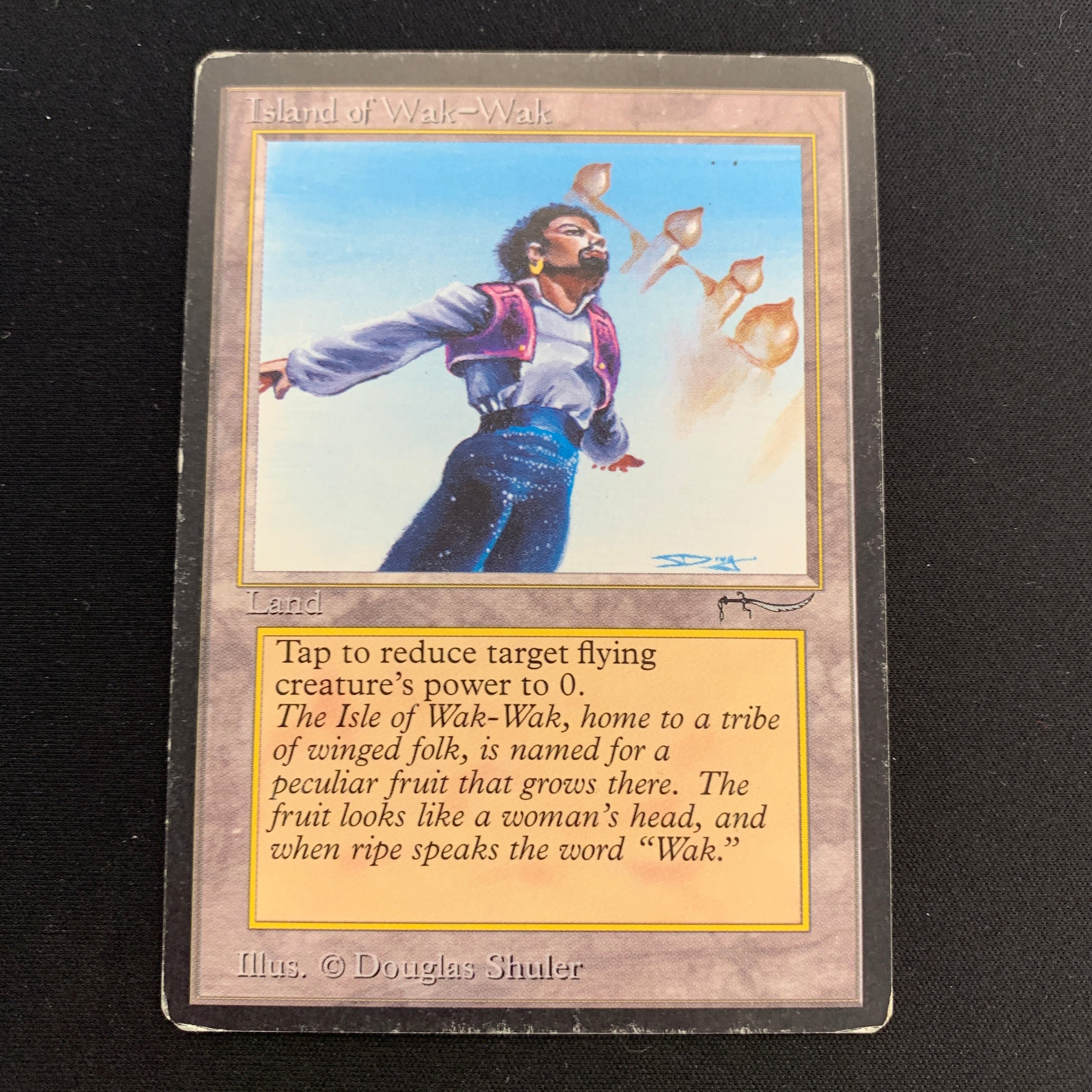 MTG Singles - Island of Wak-Wak - Arabian Nights - PL - 19767