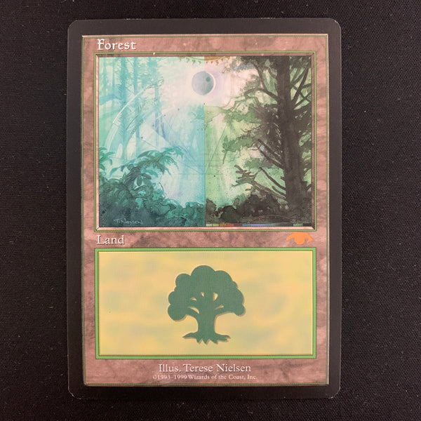 Forest - Guru Lands - EX