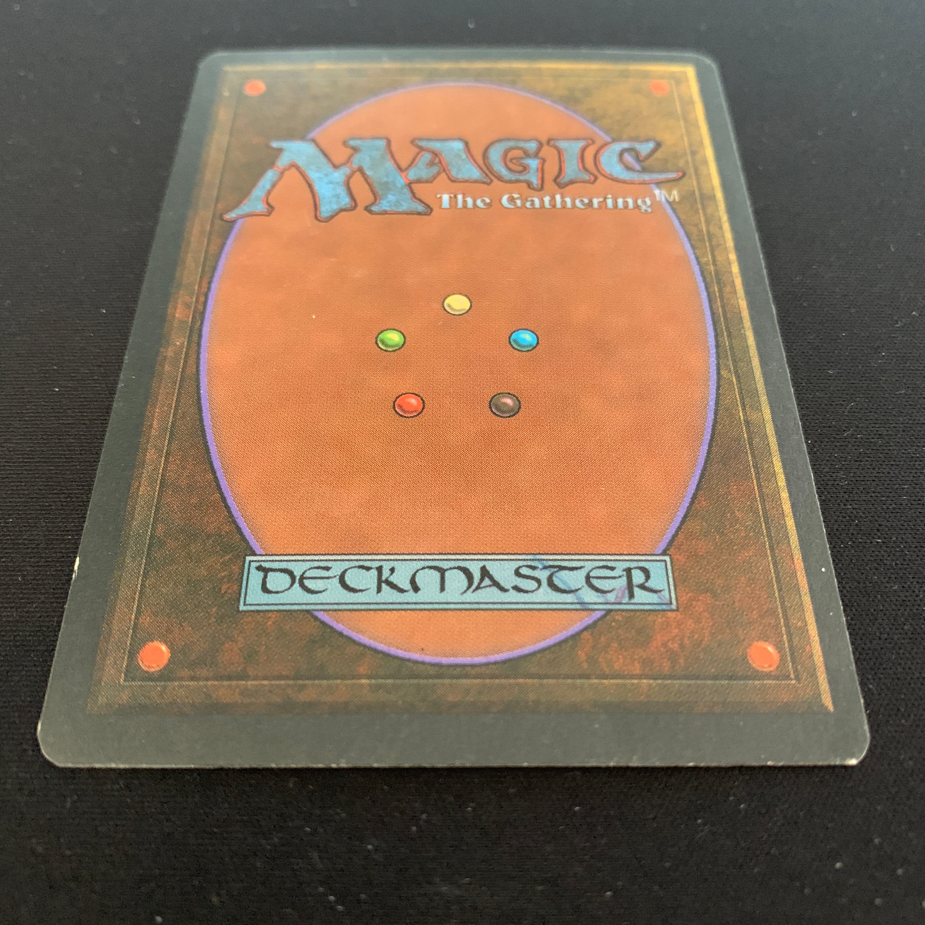 MTG Singles - Taiga - Foreign White Bordered - 