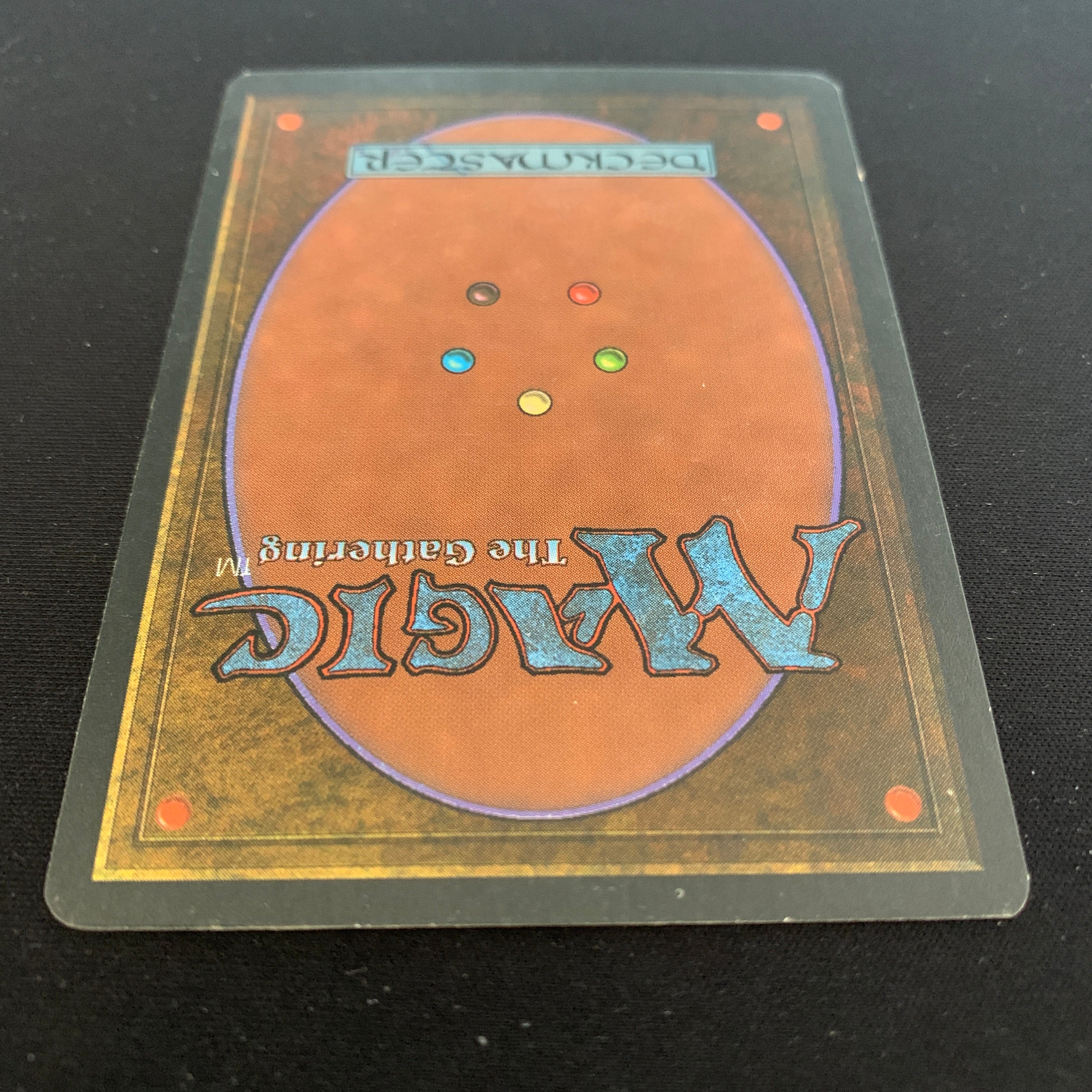 MTG Singles - Taiga - Foreign White Bordered - 