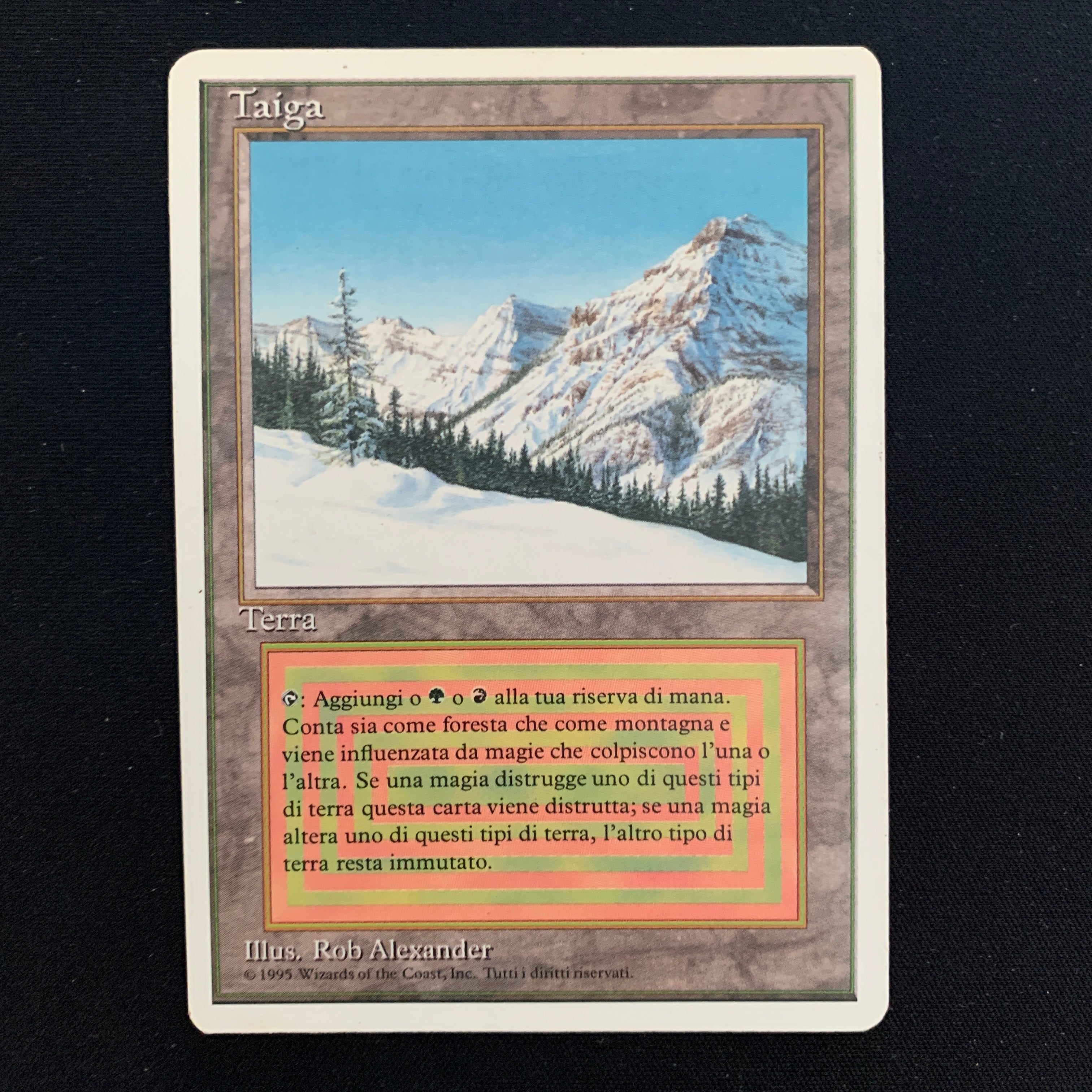 MTG Singles - Taiga - Foreign White Bordered - Italian - EX - 23496