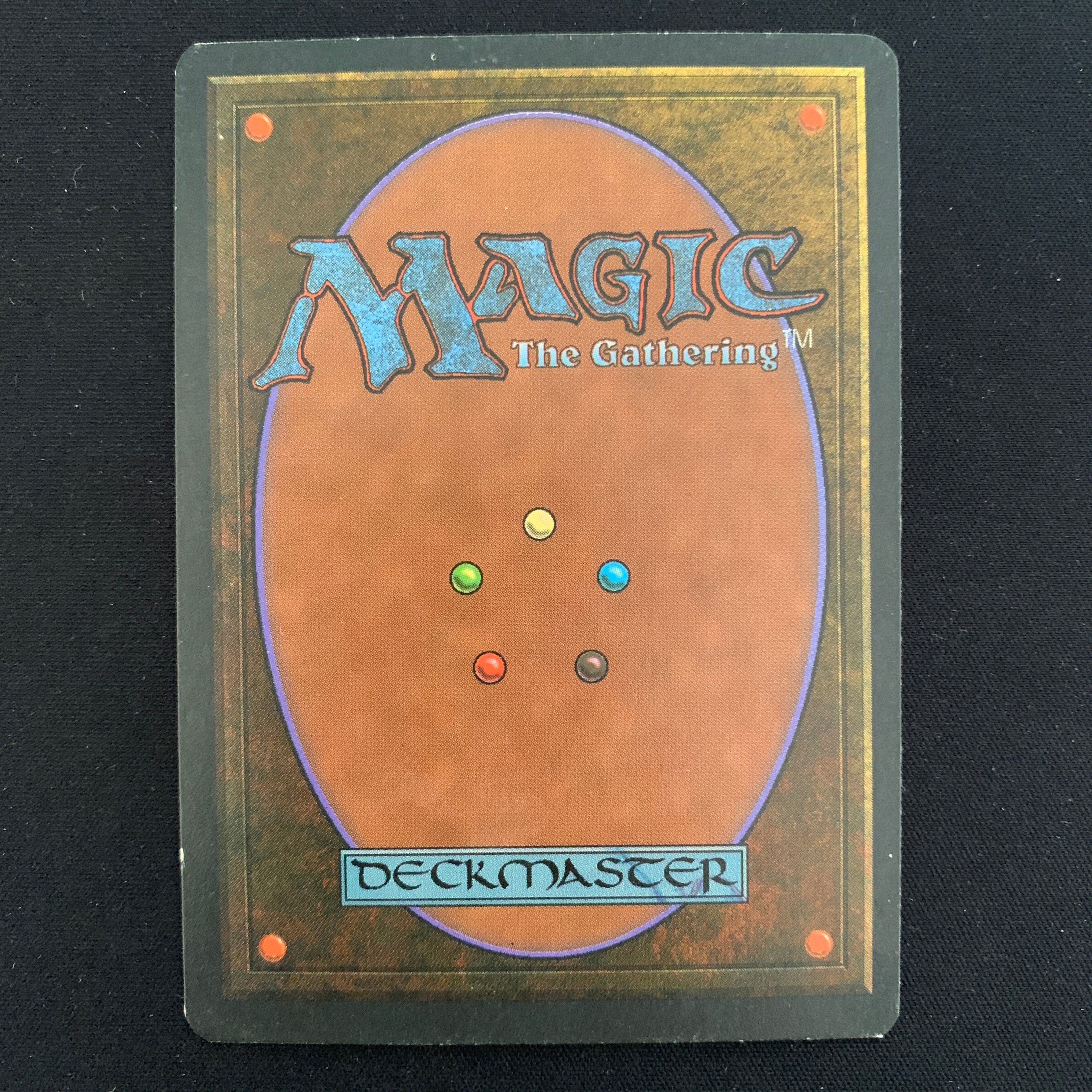 MTG Singles - Taiga - Foreign White Bordered - 
