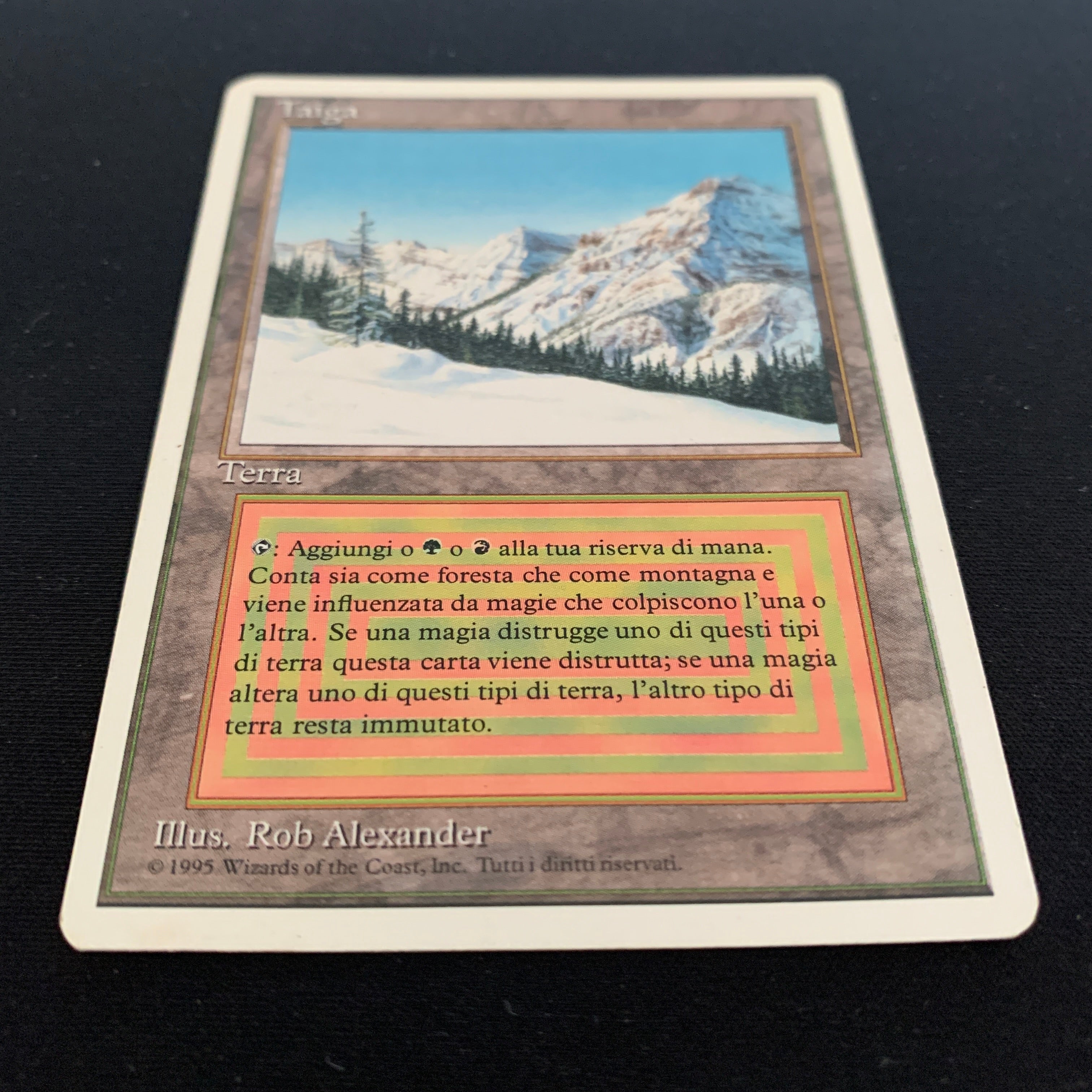 MTG Singles - Taiga - Foreign White Bordered - 