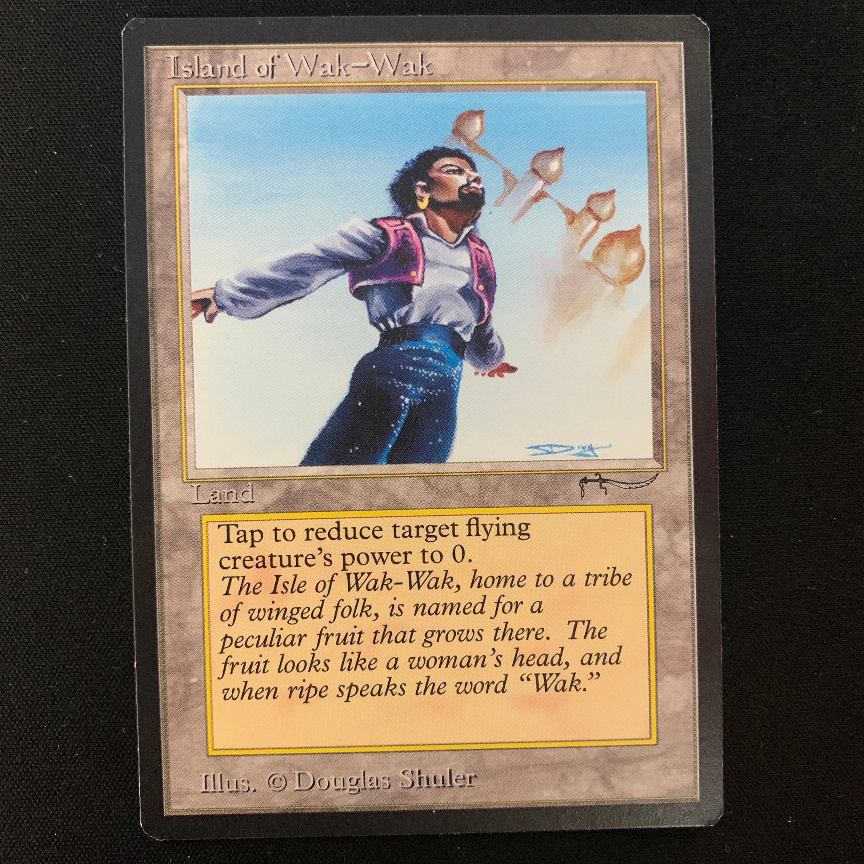 MTG Singles - Island of Wak-Wak - Arabian Nights - NM - 23878