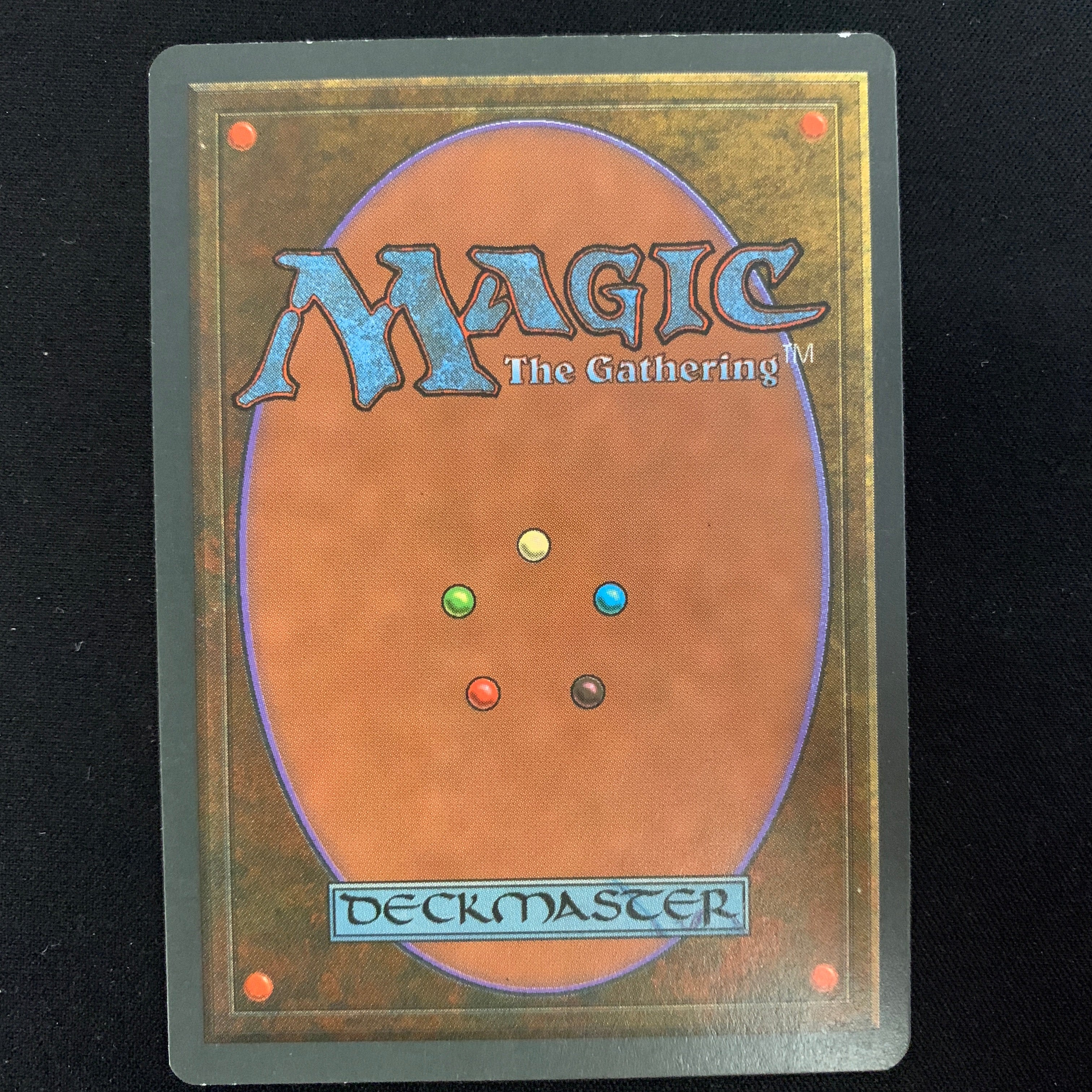 MTG Singles - Taiga - Foreign Black Bordered - 