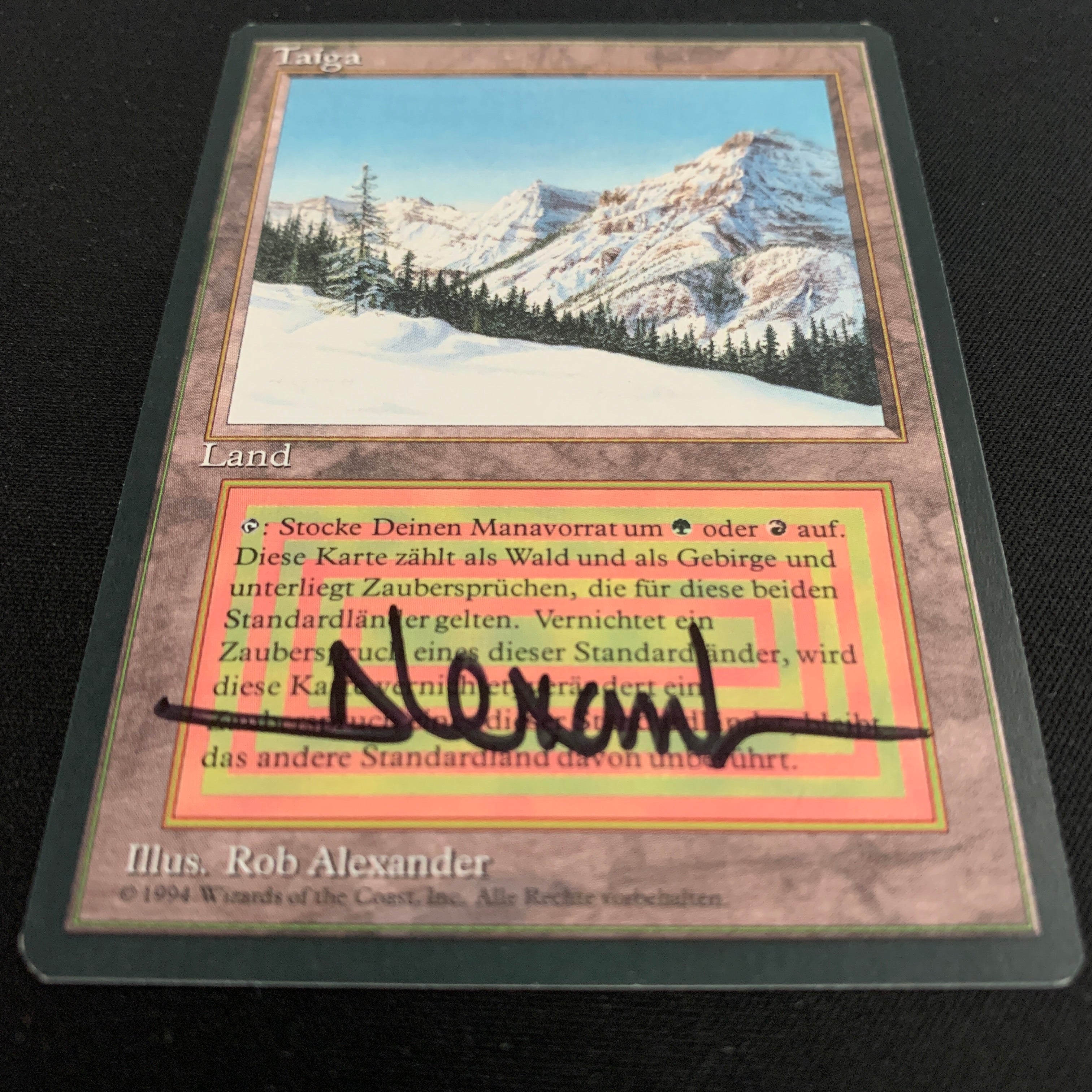 MTG Singles - Taiga - Foreign Black Bordered - 