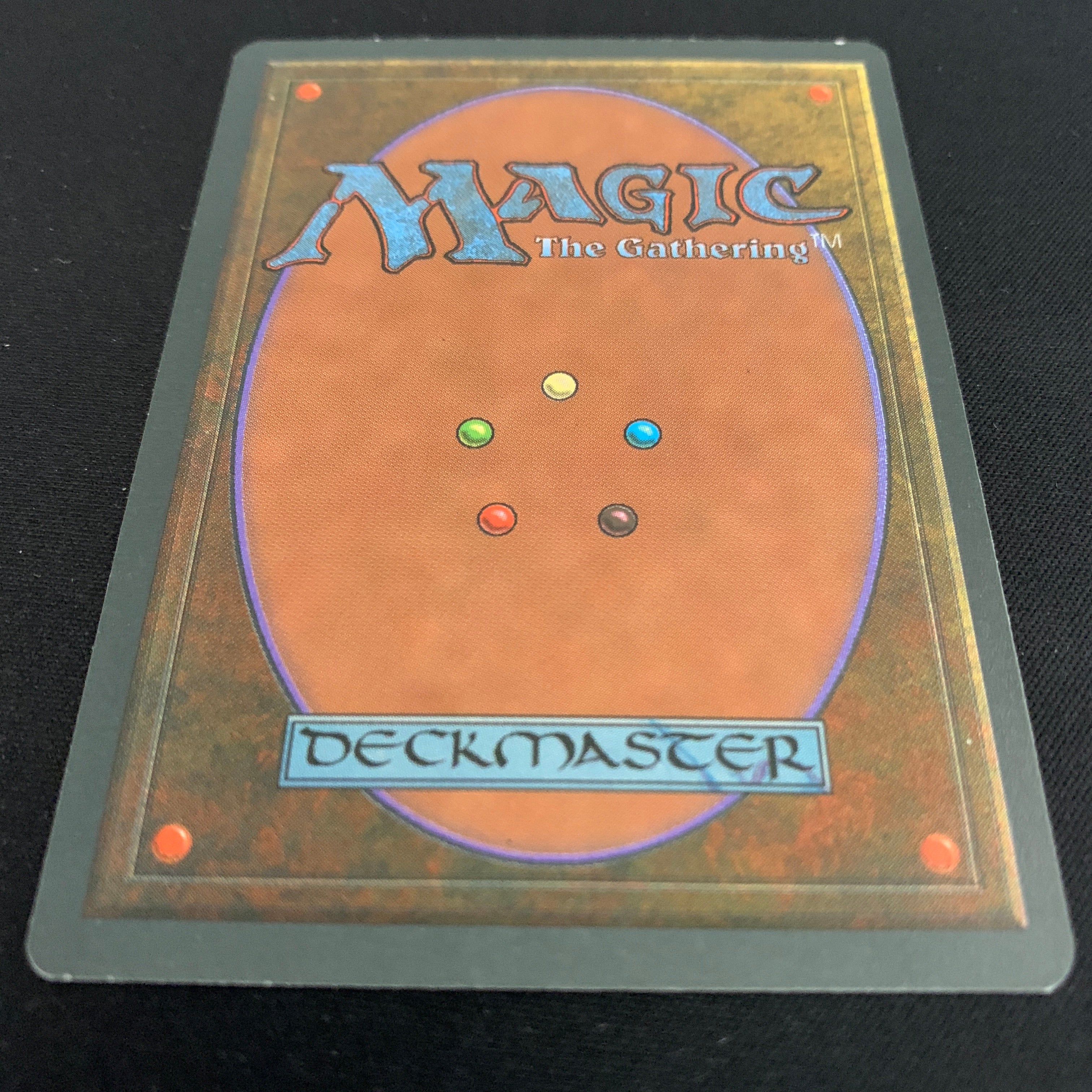 MTG Singles - Taiga - Foreign Black Bordered - 