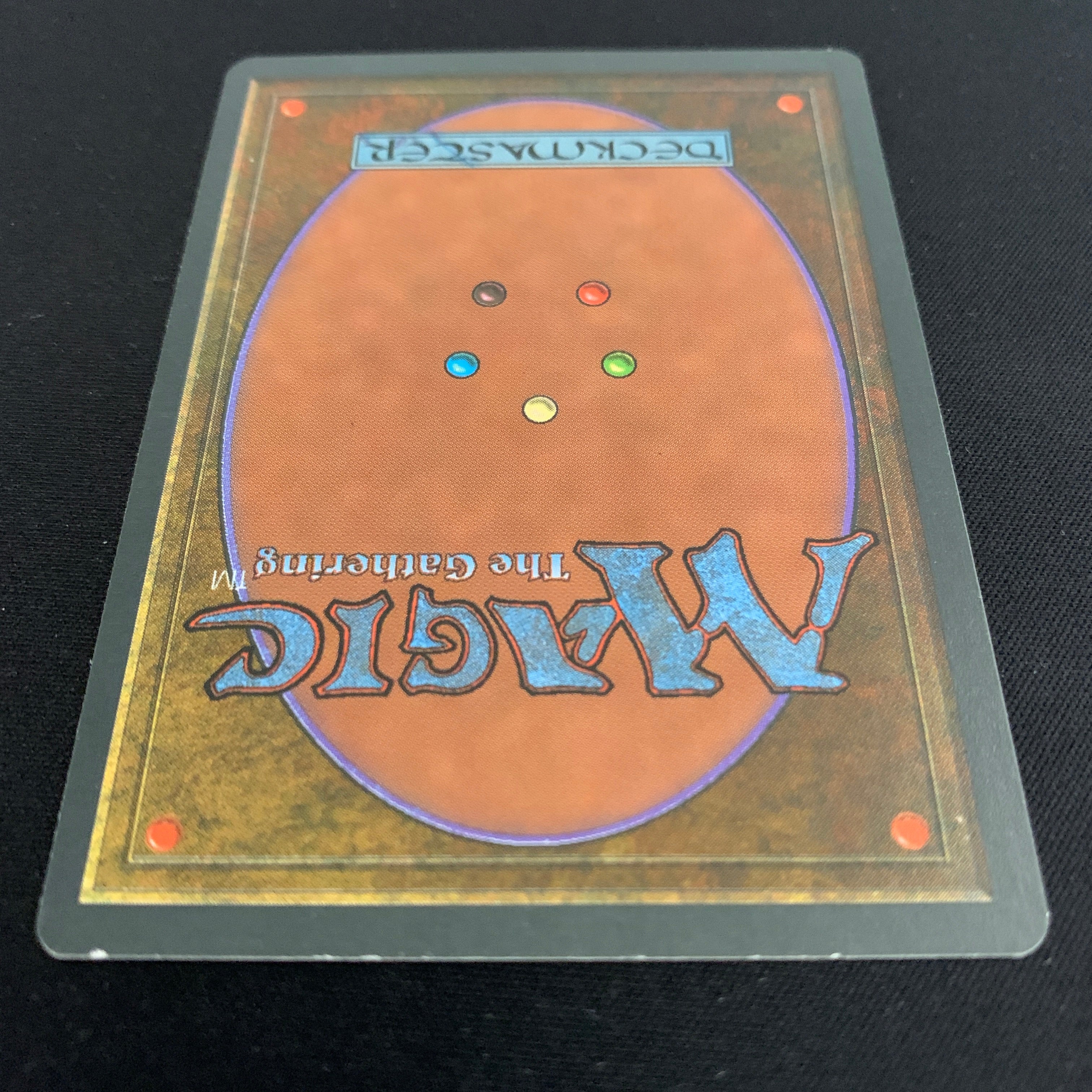 MTG Singles - Taiga - Foreign Black Bordered - 