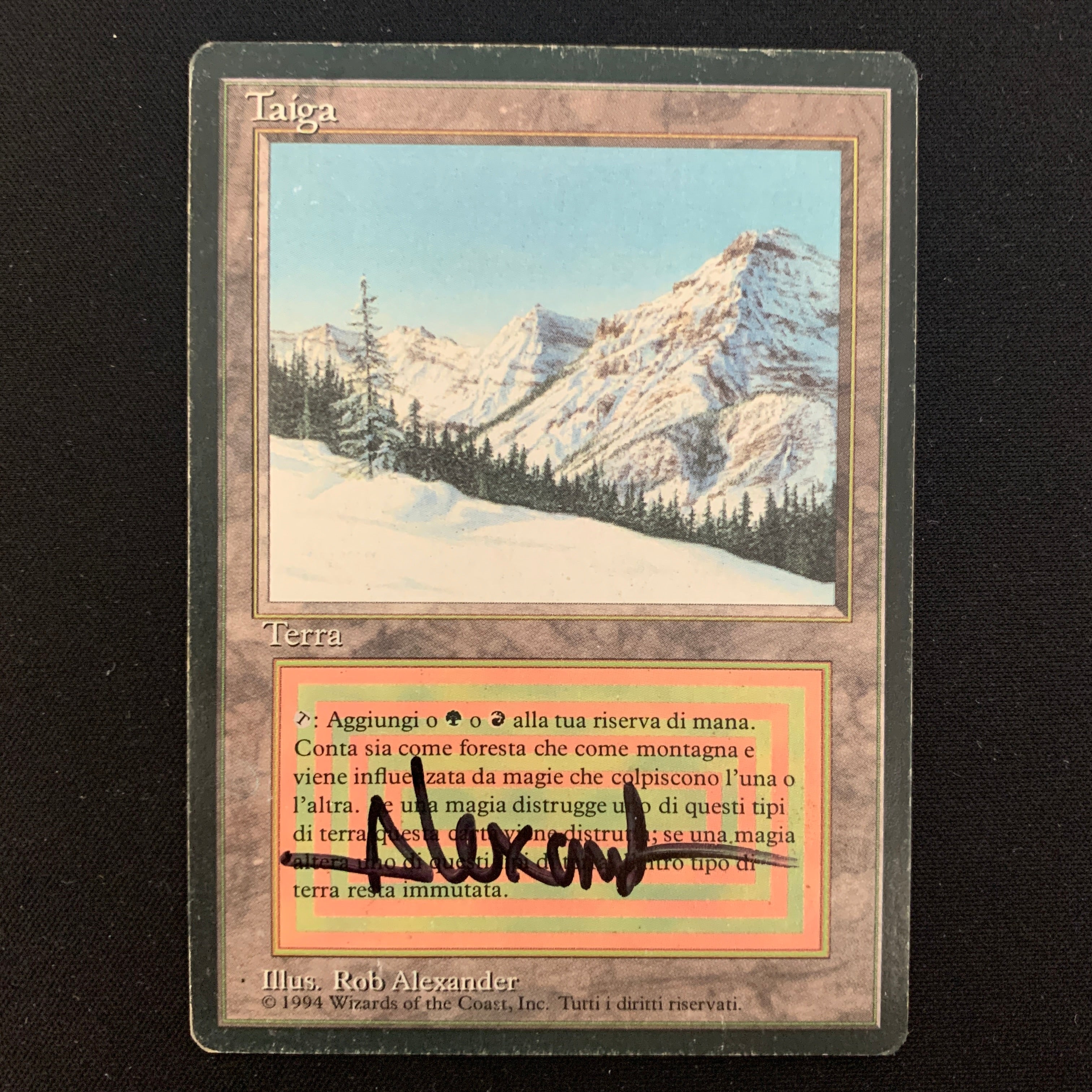 MTG Singles - Taiga - Foreign Black Bordered - Italian - PL - SIGNED, BEND - 24498