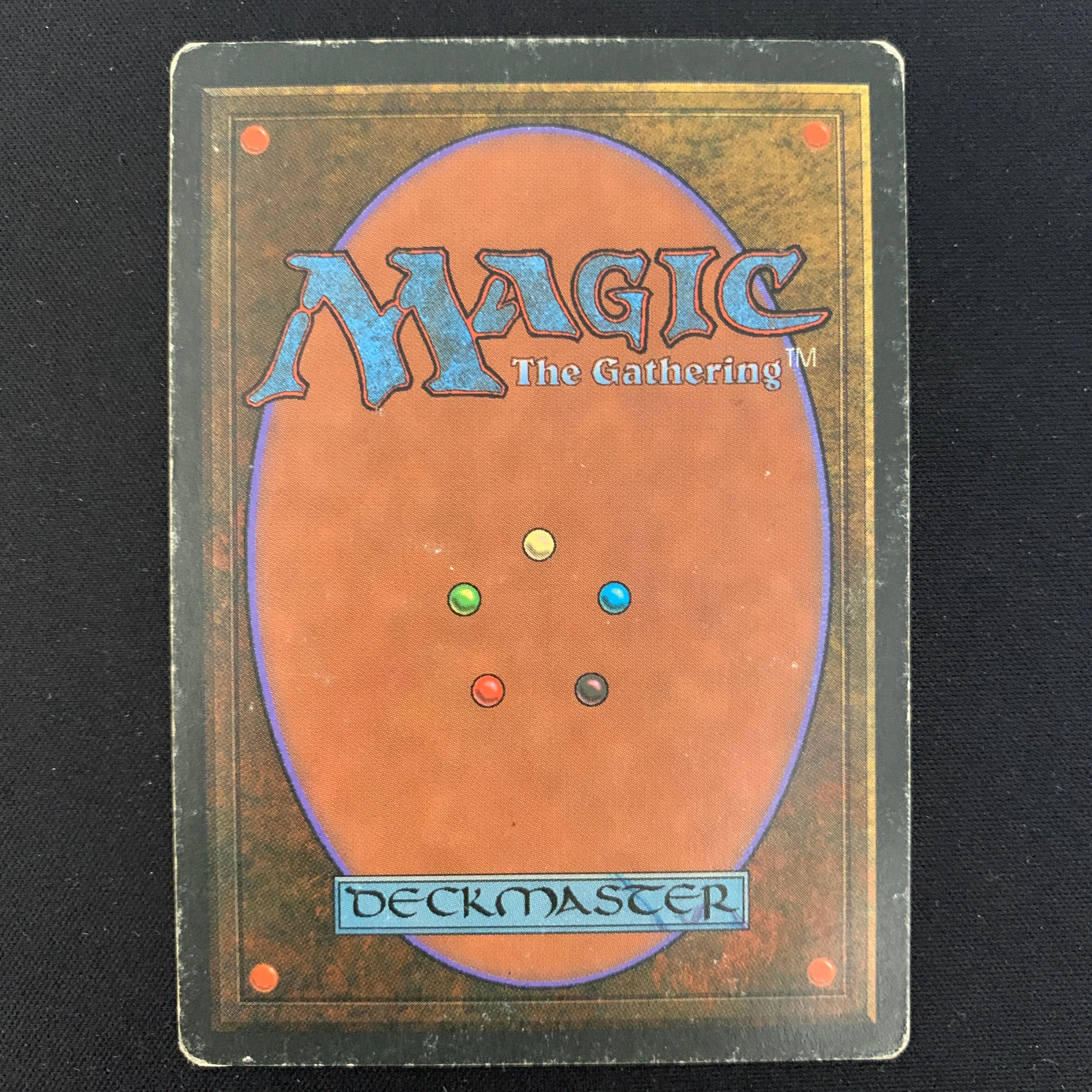 MTG Singles - Taiga - Foreign Black Bordered - 