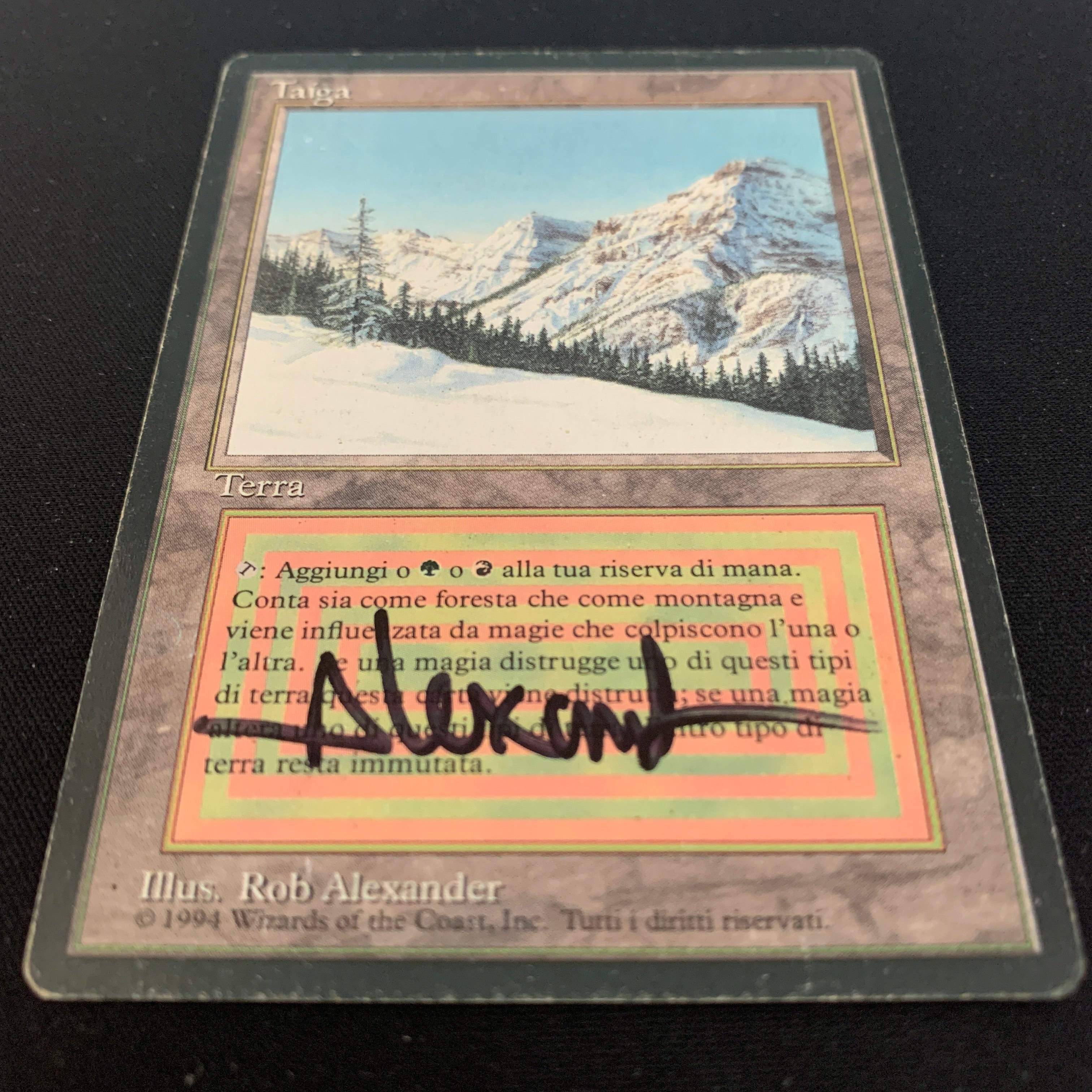 MTG Singles - Taiga - Foreign Black Bordered - 