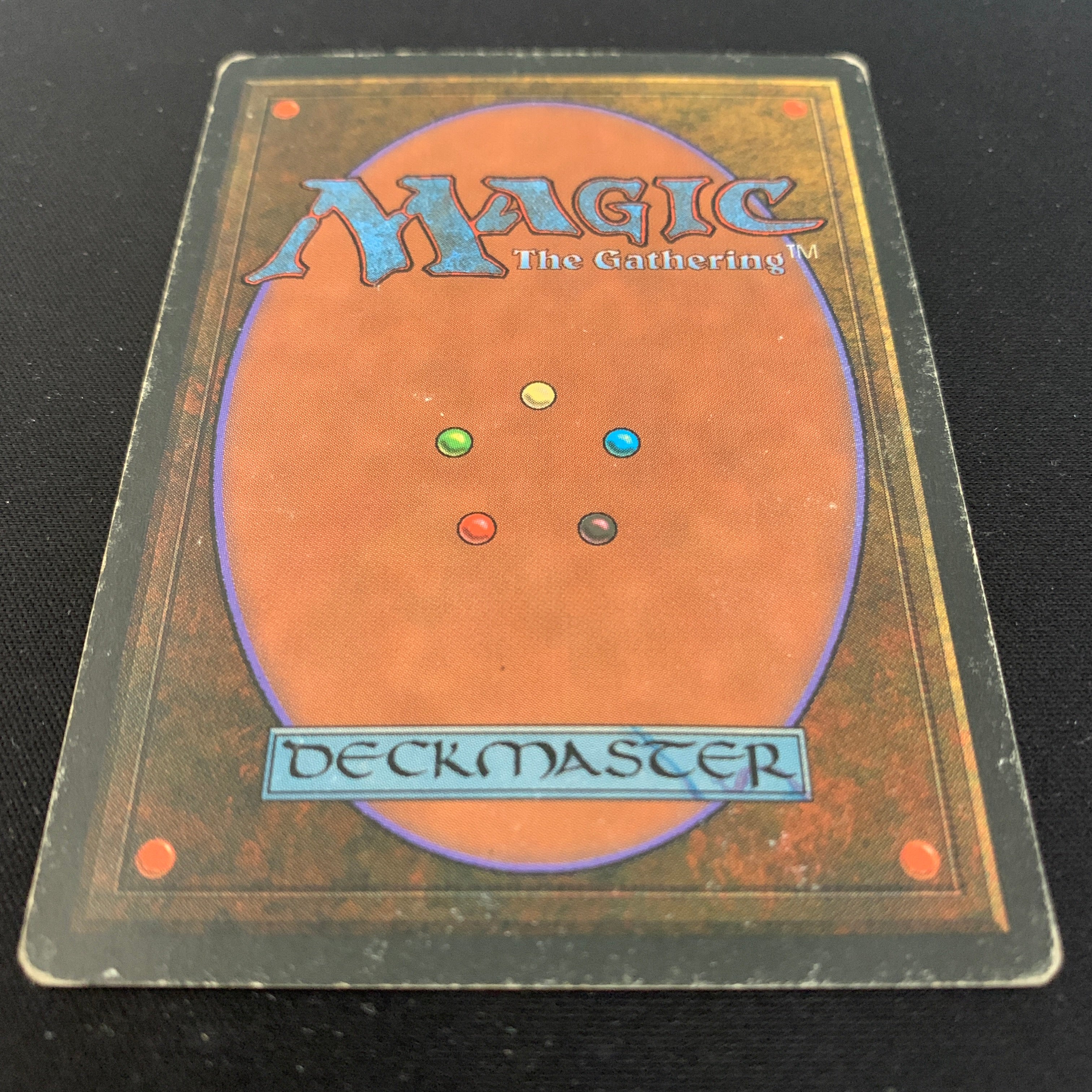 MTG Singles - Taiga - Foreign Black Bordered - 