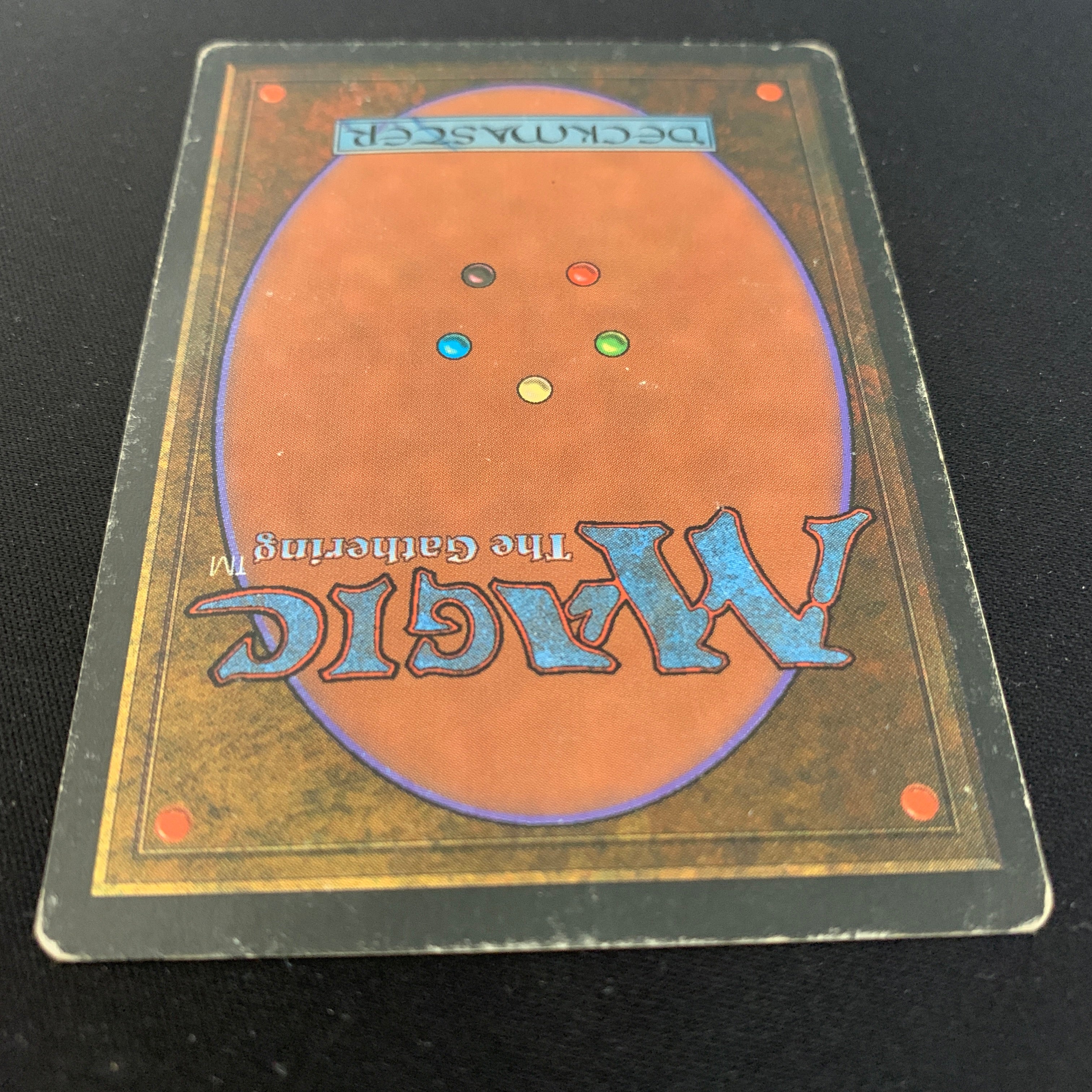 MTG Singles - Taiga - Foreign Black Bordered - 