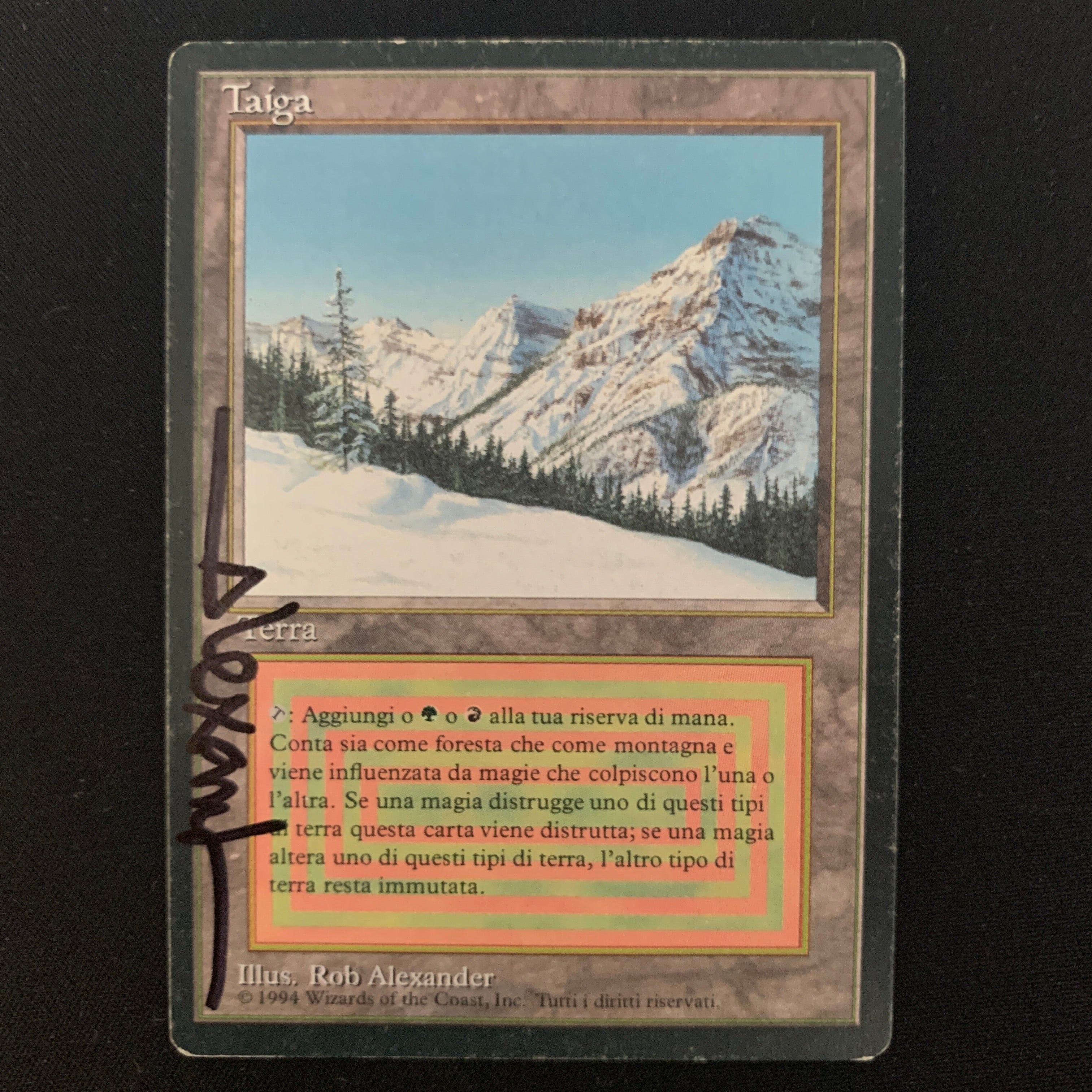 MTG Singles - Taiga - Foreign Black Bordered - Italian - PO - SIGNED - 24499