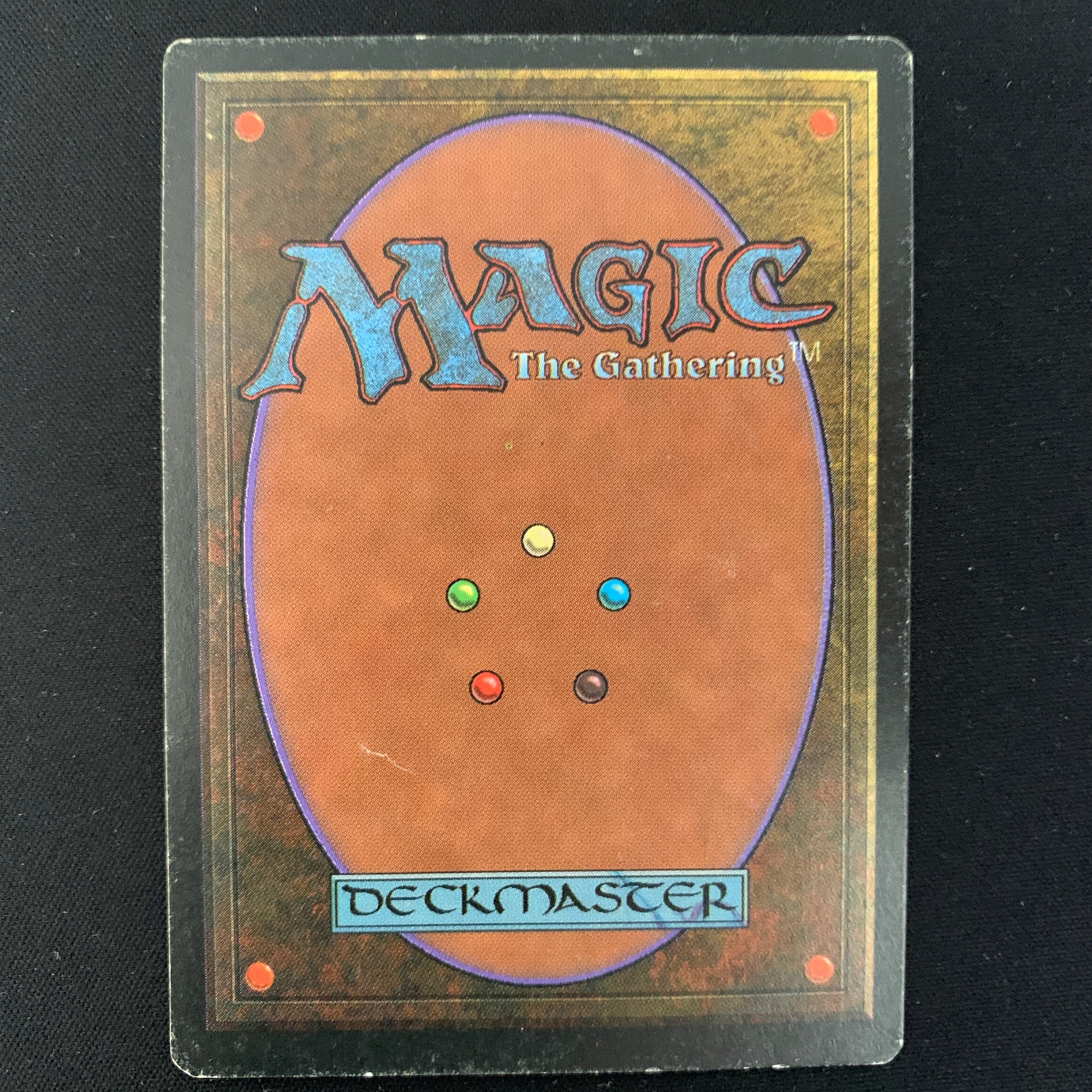 MTG Singles - Taiga - Foreign Black Bordered - 